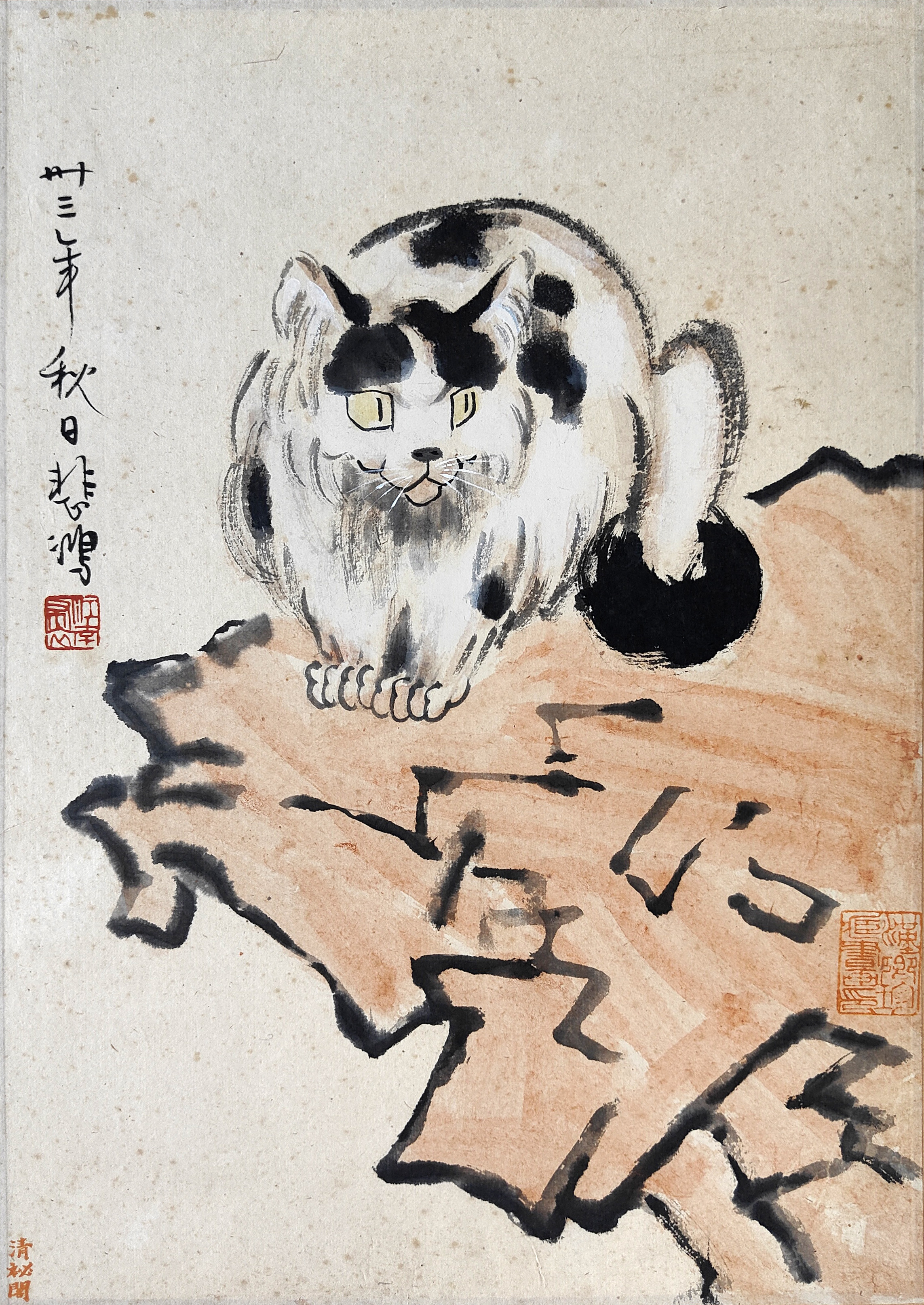 徐悲鸿     猫石图