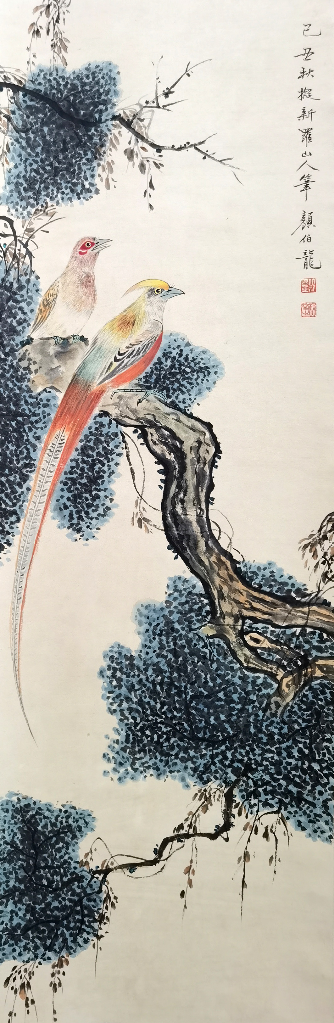 颜伯龙     花鸟