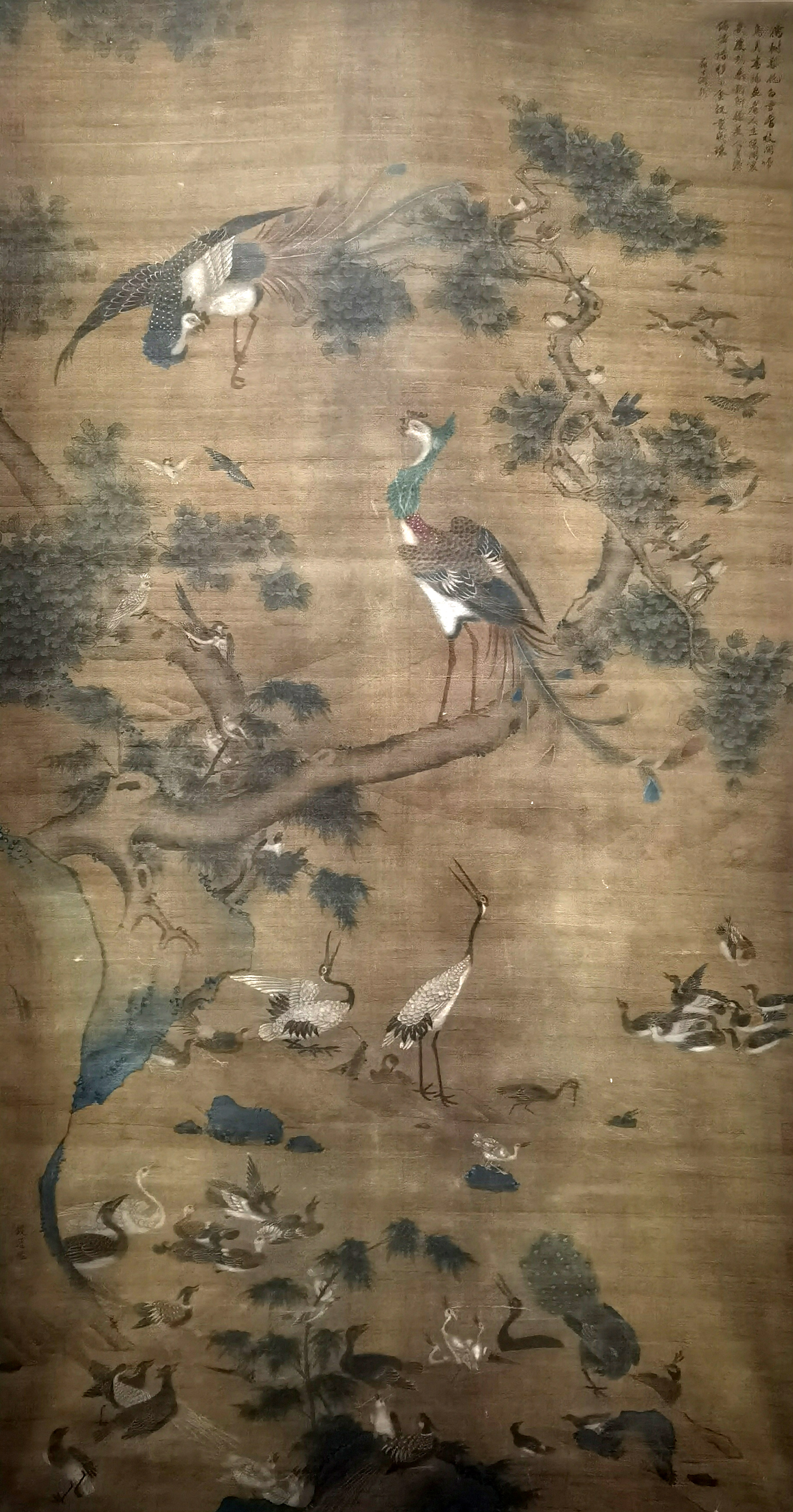 钱选     百鸟朝凤  附：翁方纲鉴赏题跋