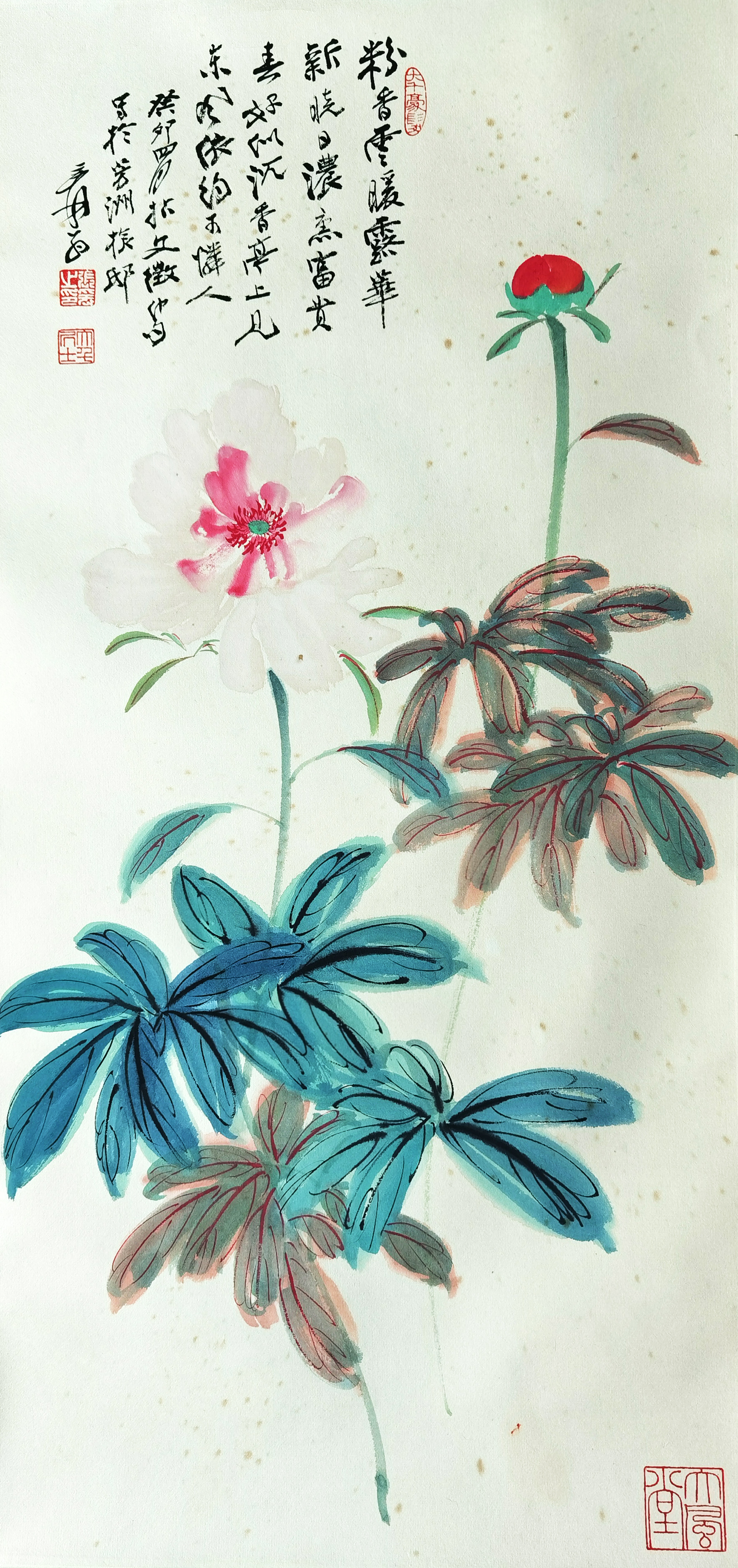 张大千     花卉