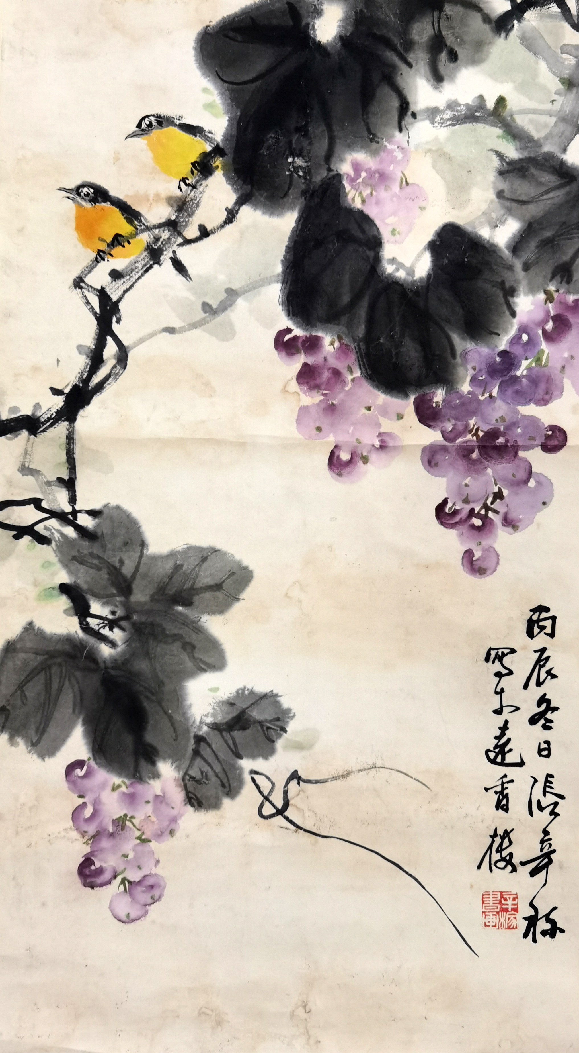 张辛稼     花鸟