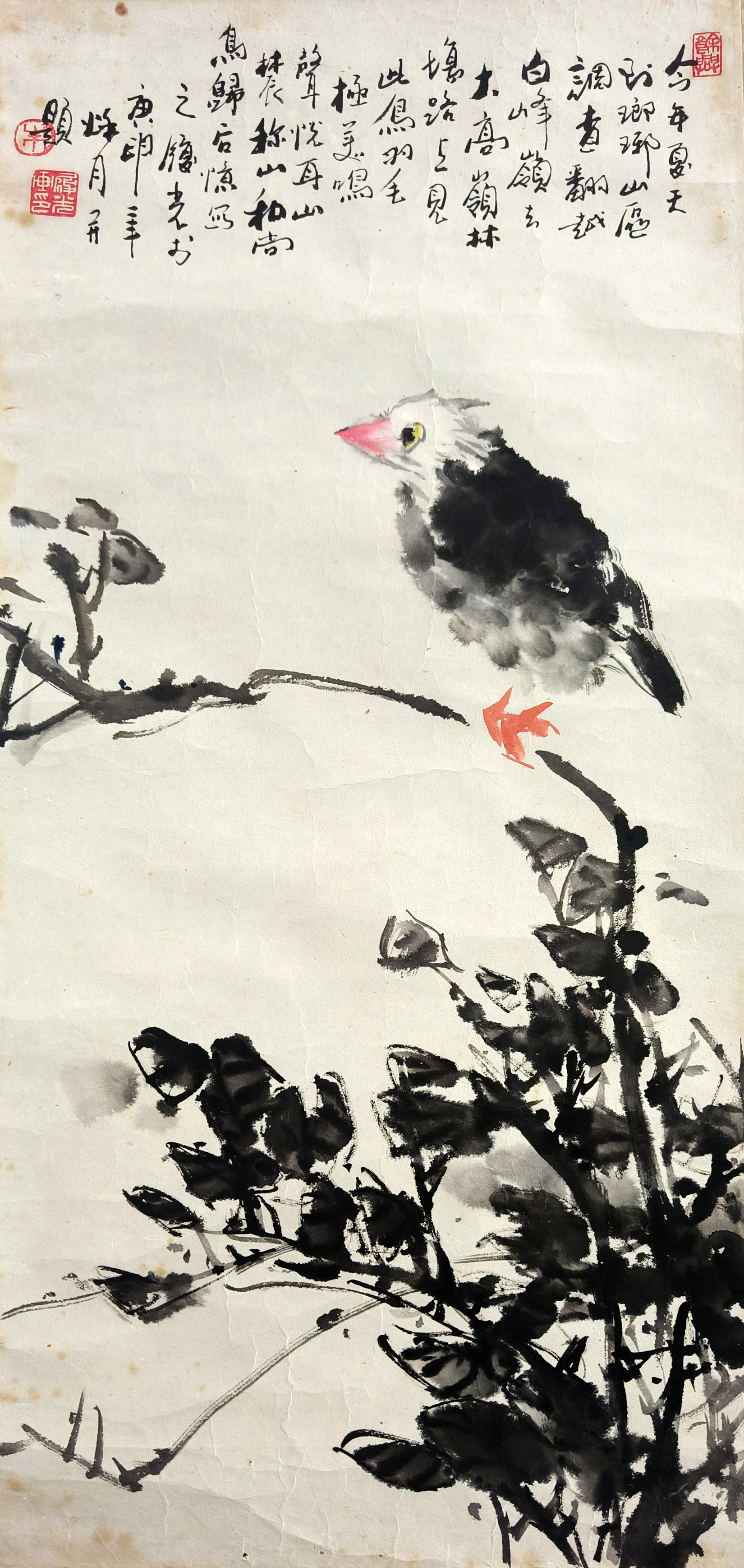 朱履光     花鸟