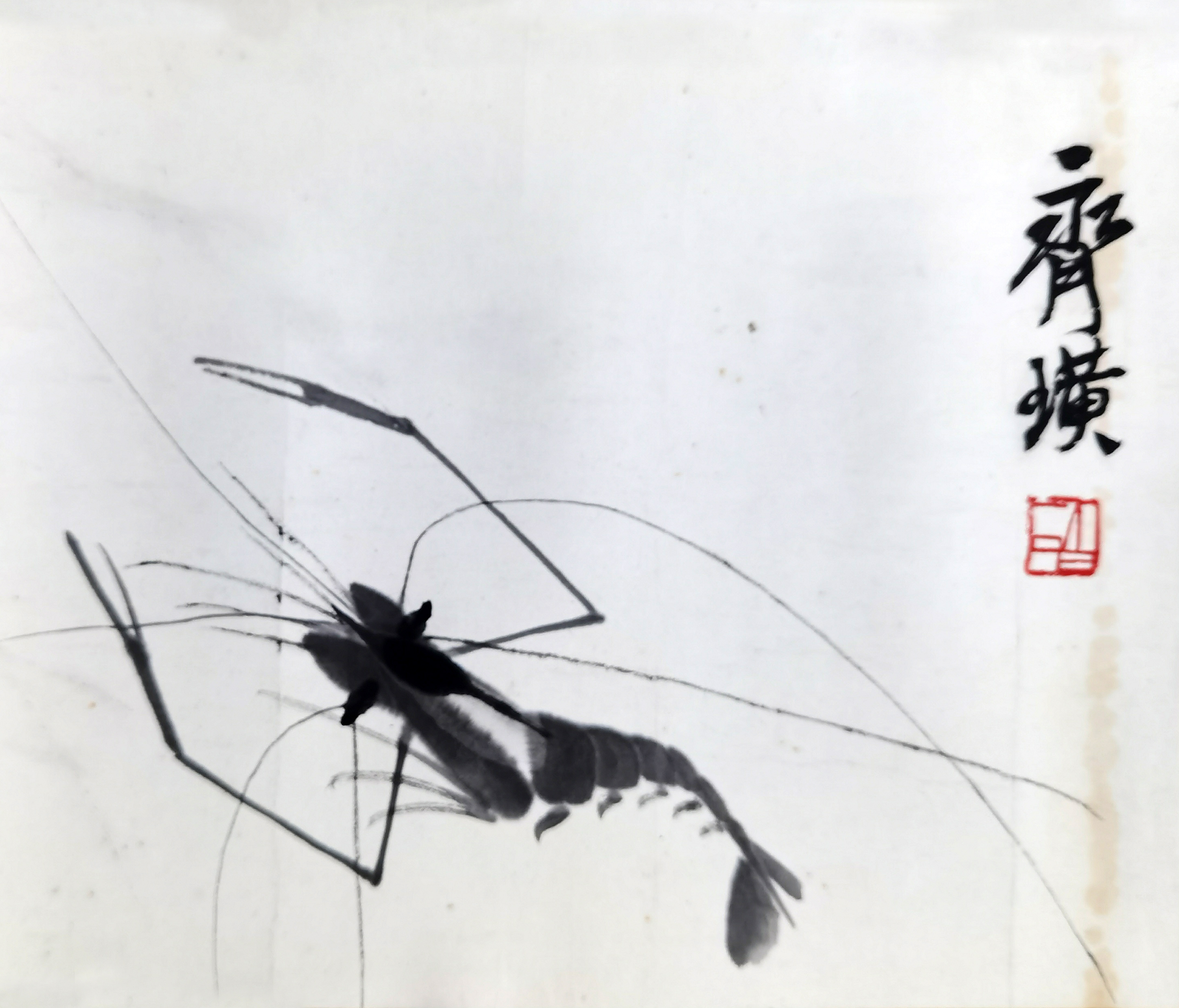 齐白石     虾