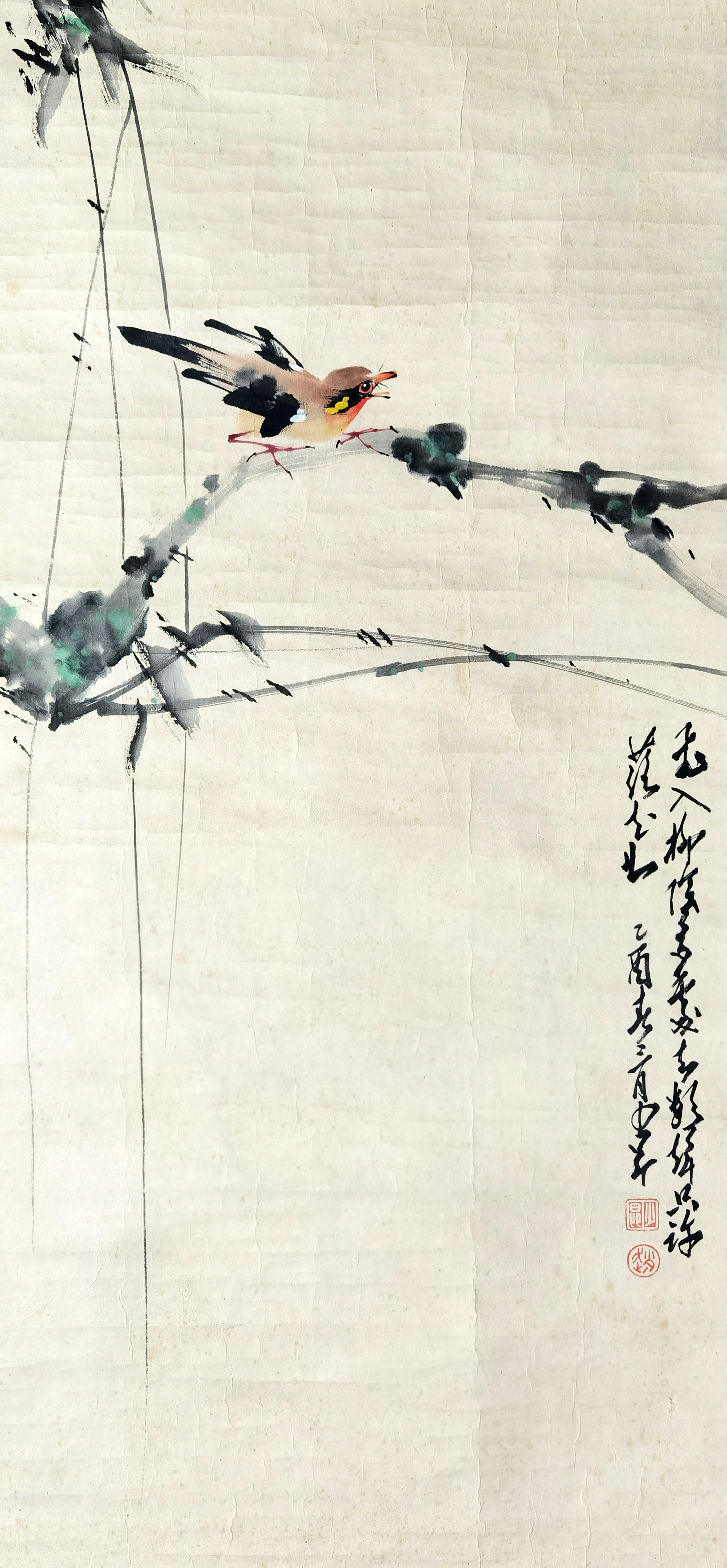 赵少昂     花鸟