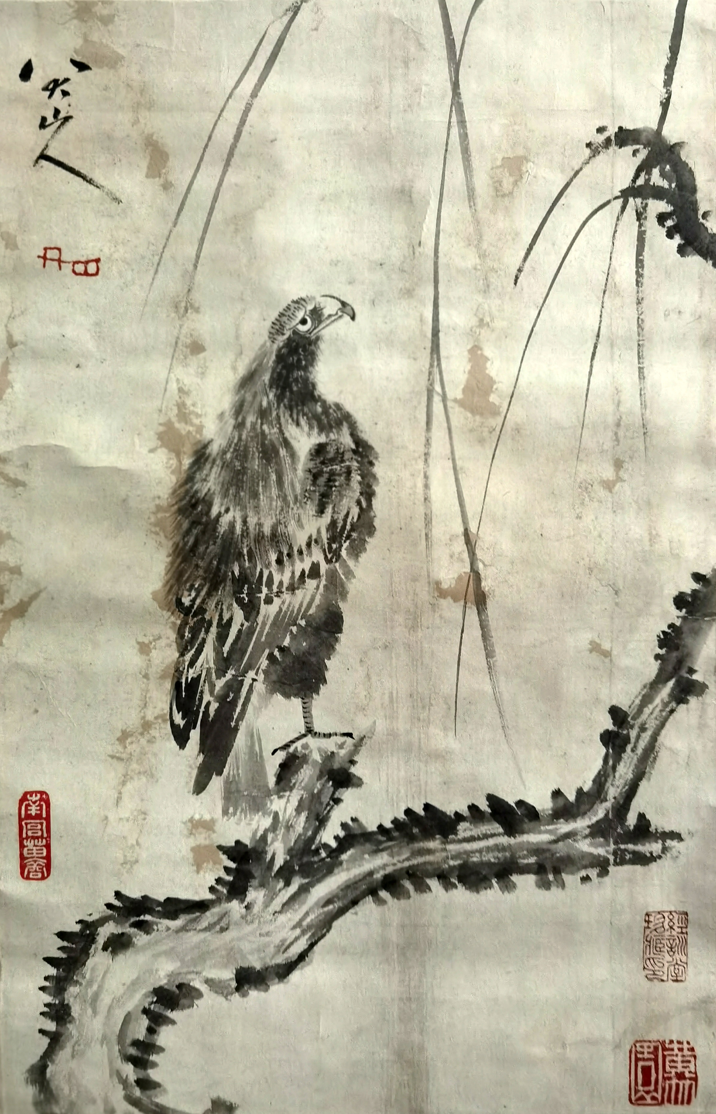 八大山人      鹰  LOT 319-395号 资深藏家提供旧藏专场