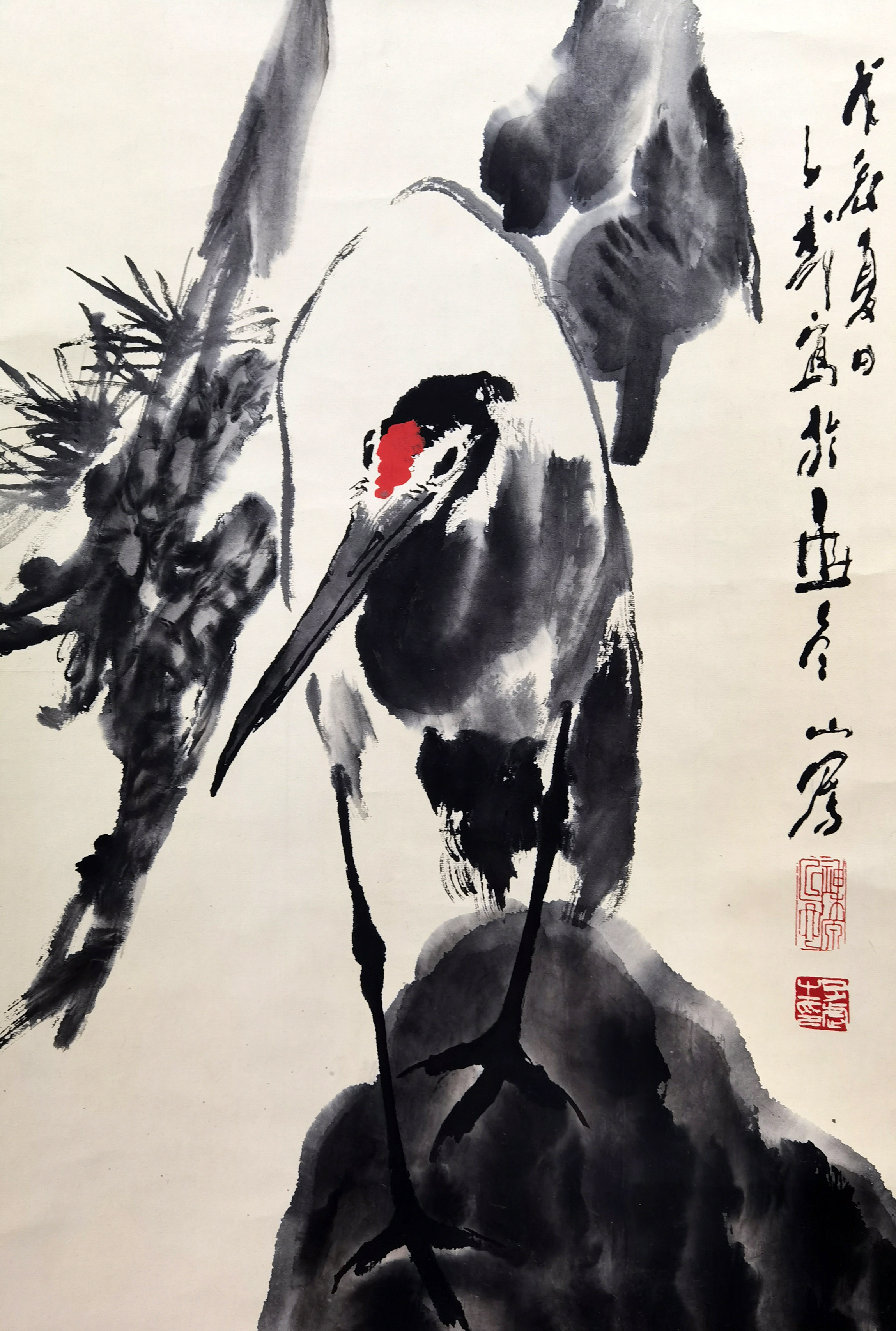 王子武     松鹤