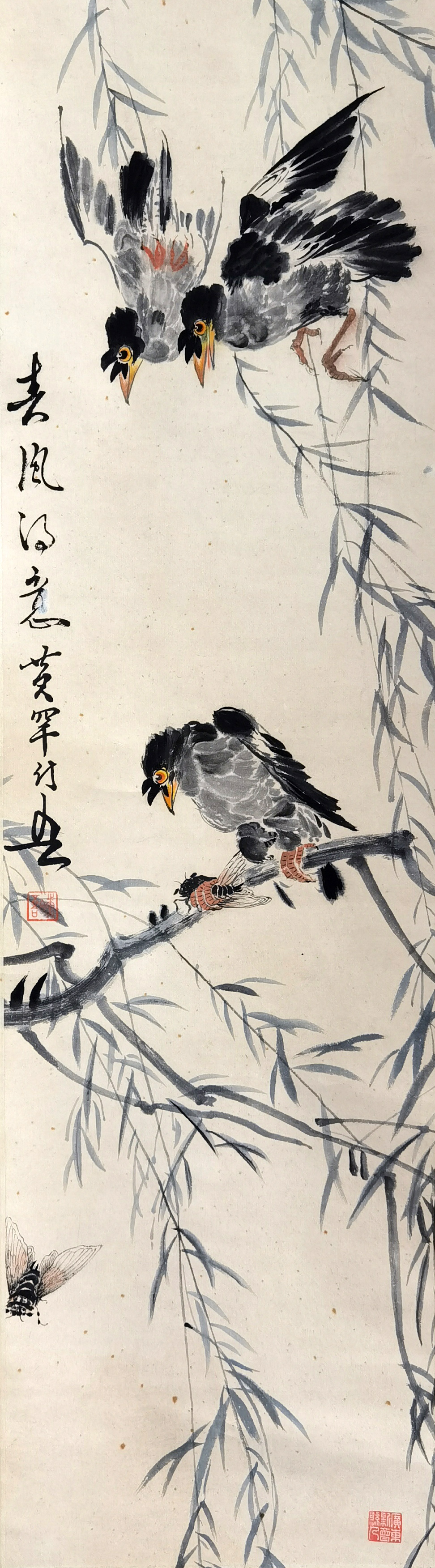 黄幻吾     八哥