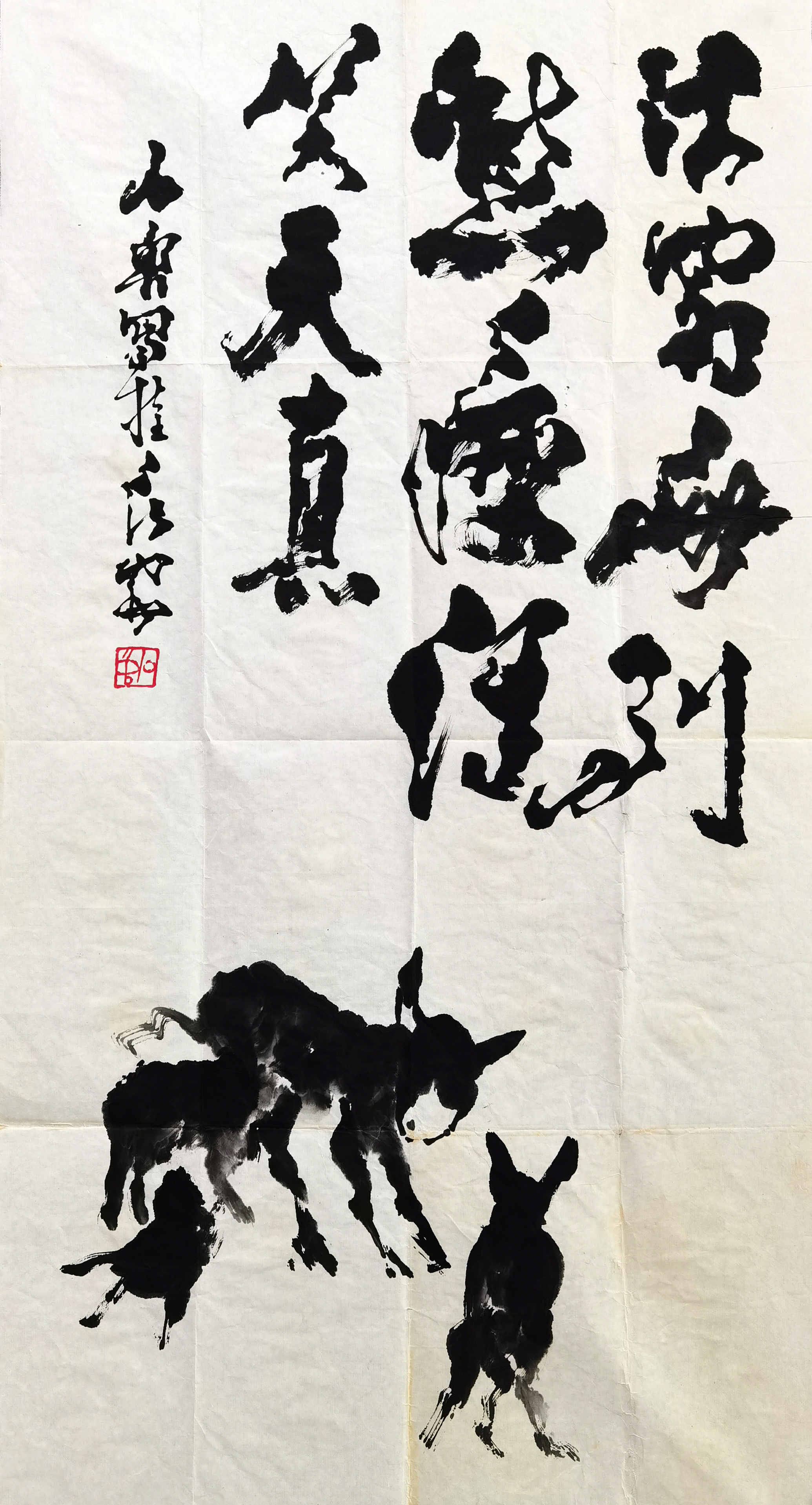 石鲁     驴