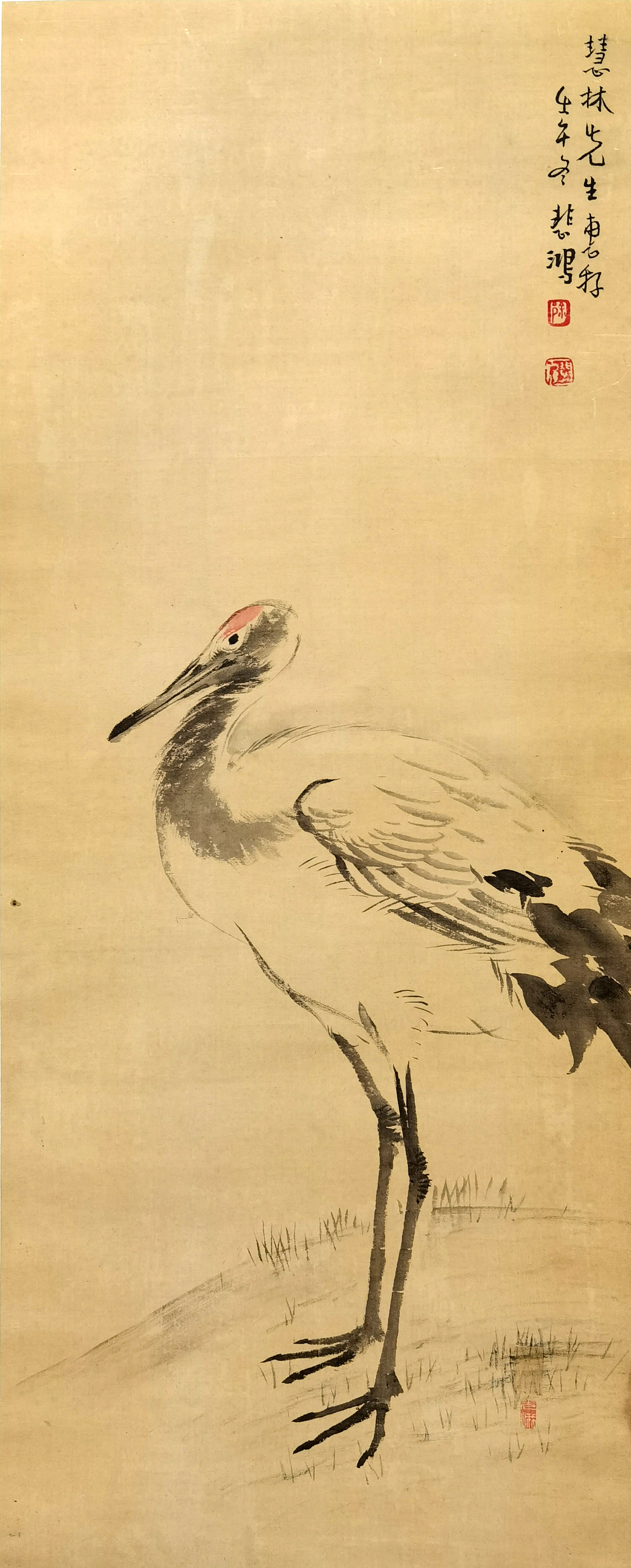 徐悲鸿     花鸟