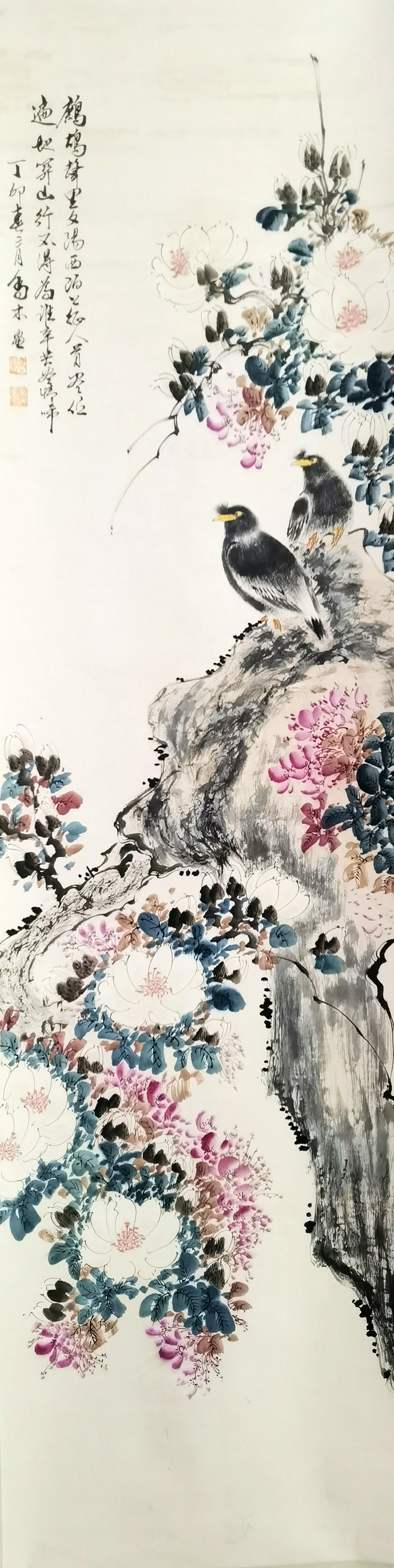 乔木      花鸟