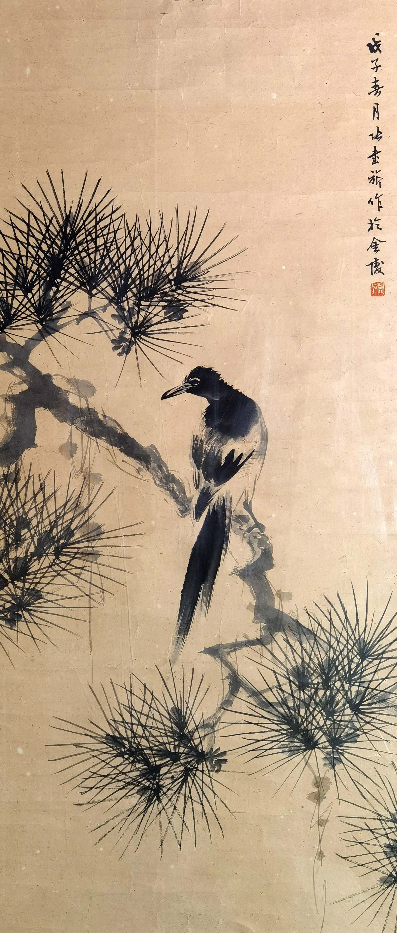 张书旗      松鹰
