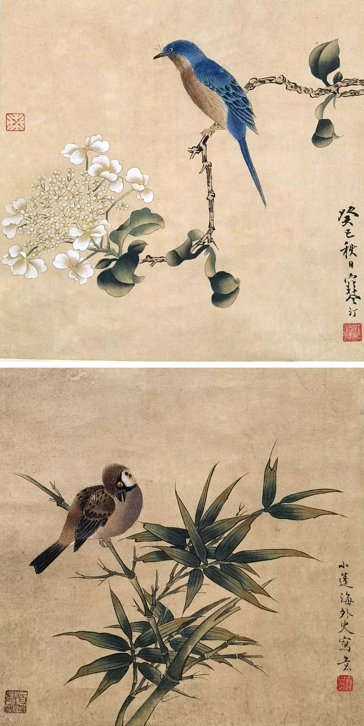 江寒汀     花鸟双挖