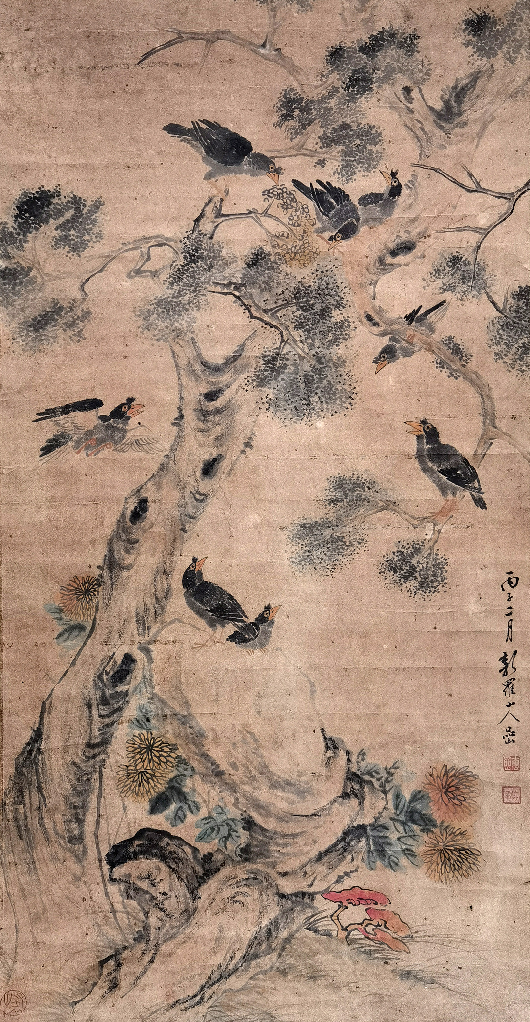 新罗山人     花鸟