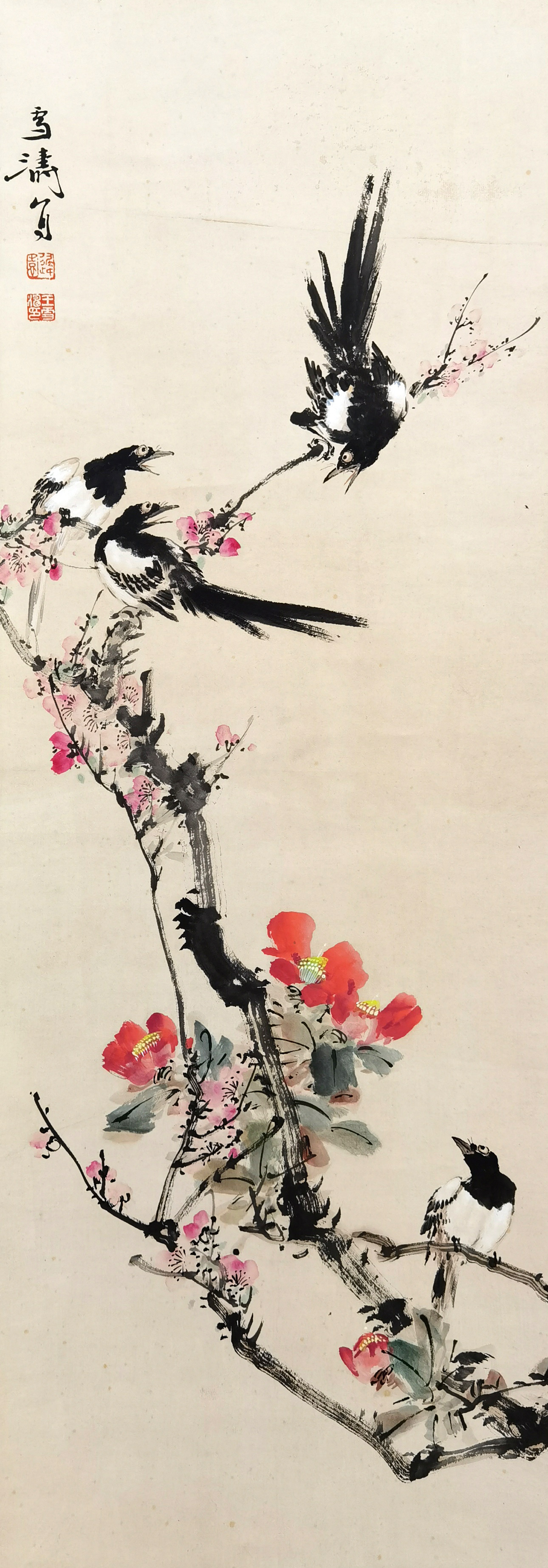 王雪涛     花鸟