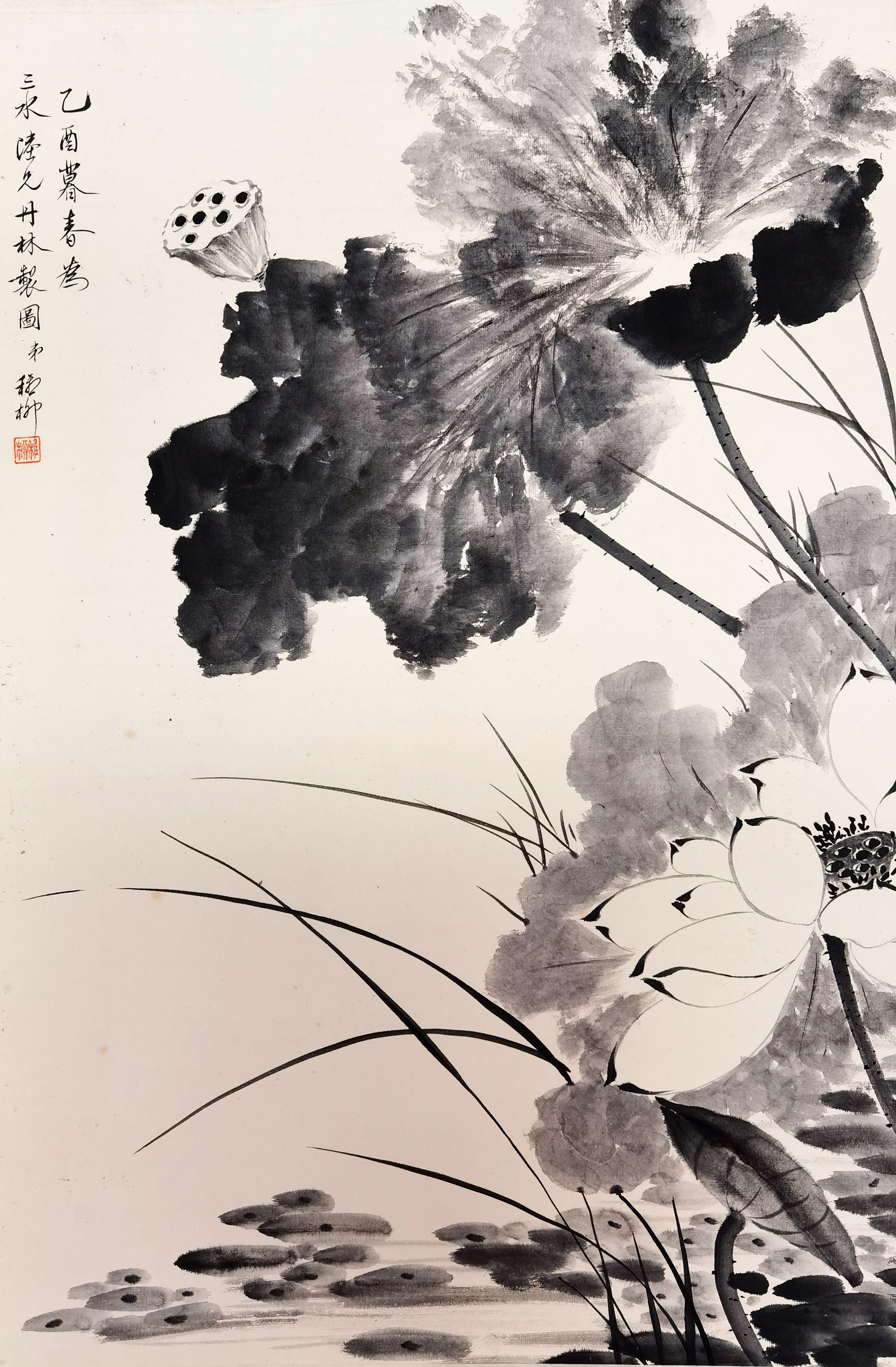 谢稚柳     荷花