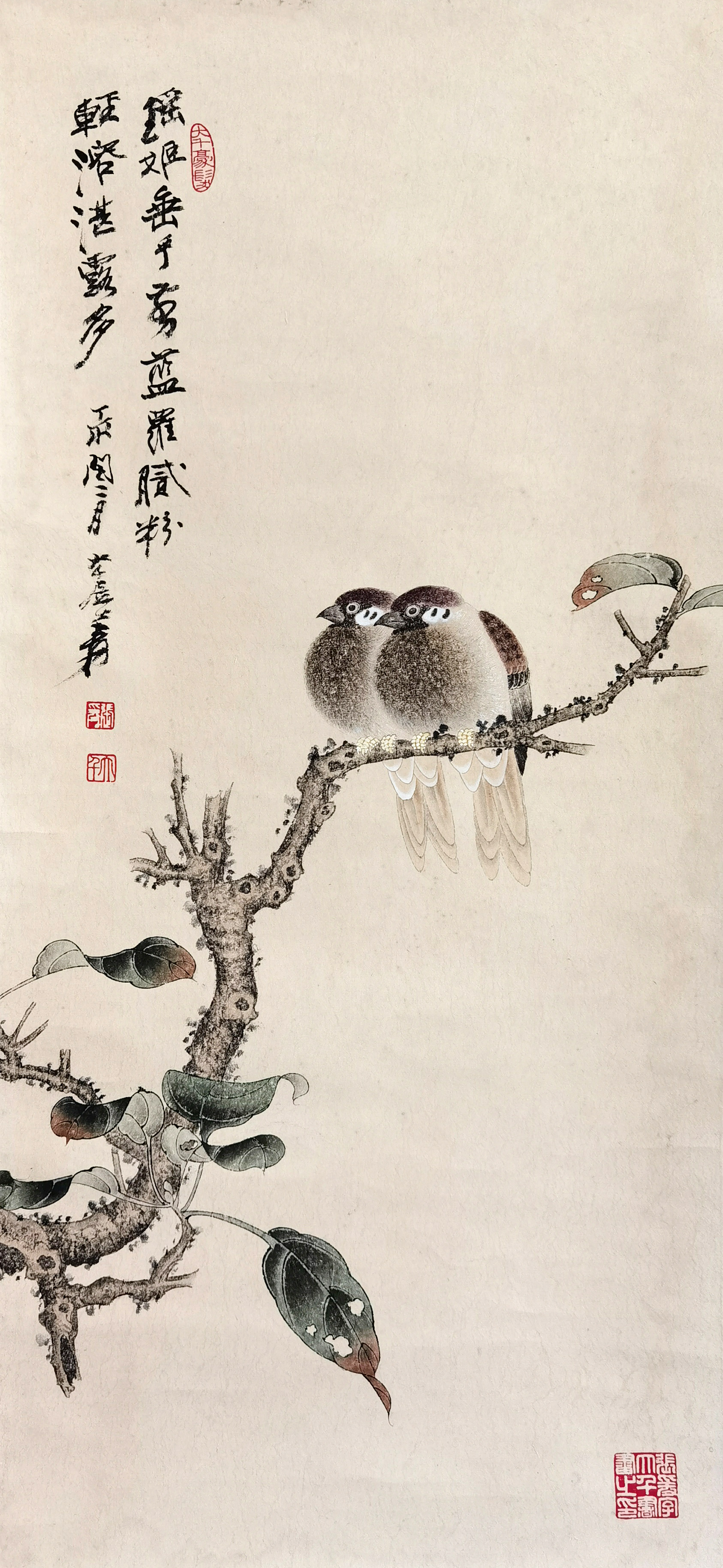 张大千     花鸟