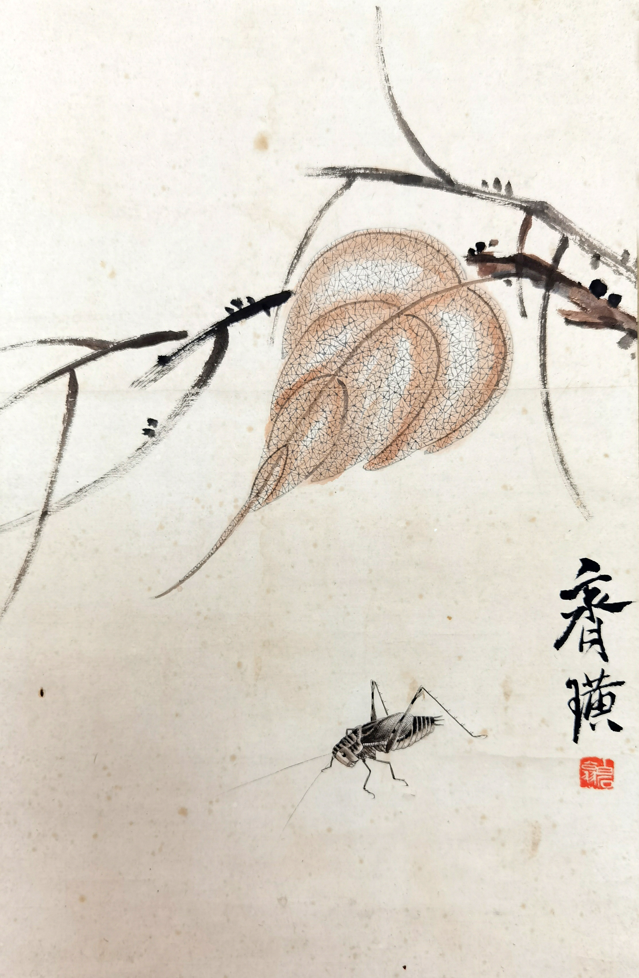 齐白石     贝叶草虫