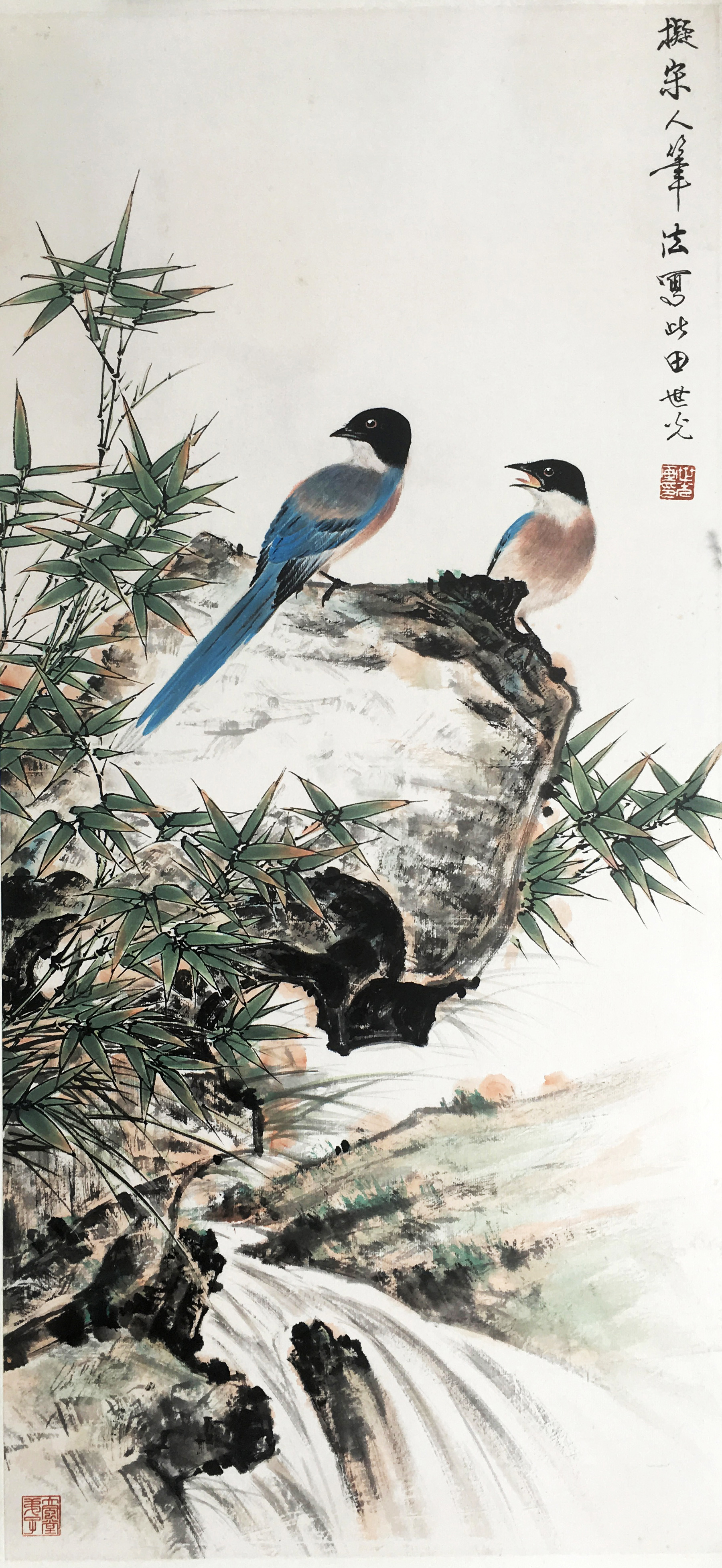 田世光     花鸟