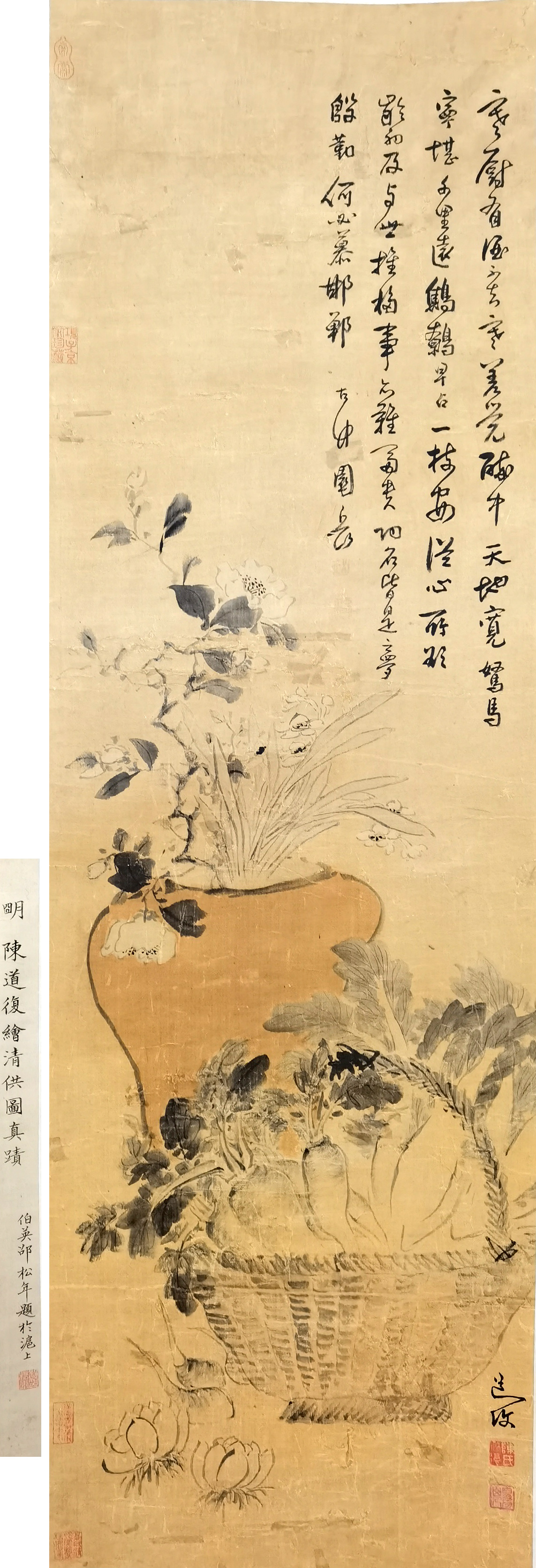 陈道復     花卉