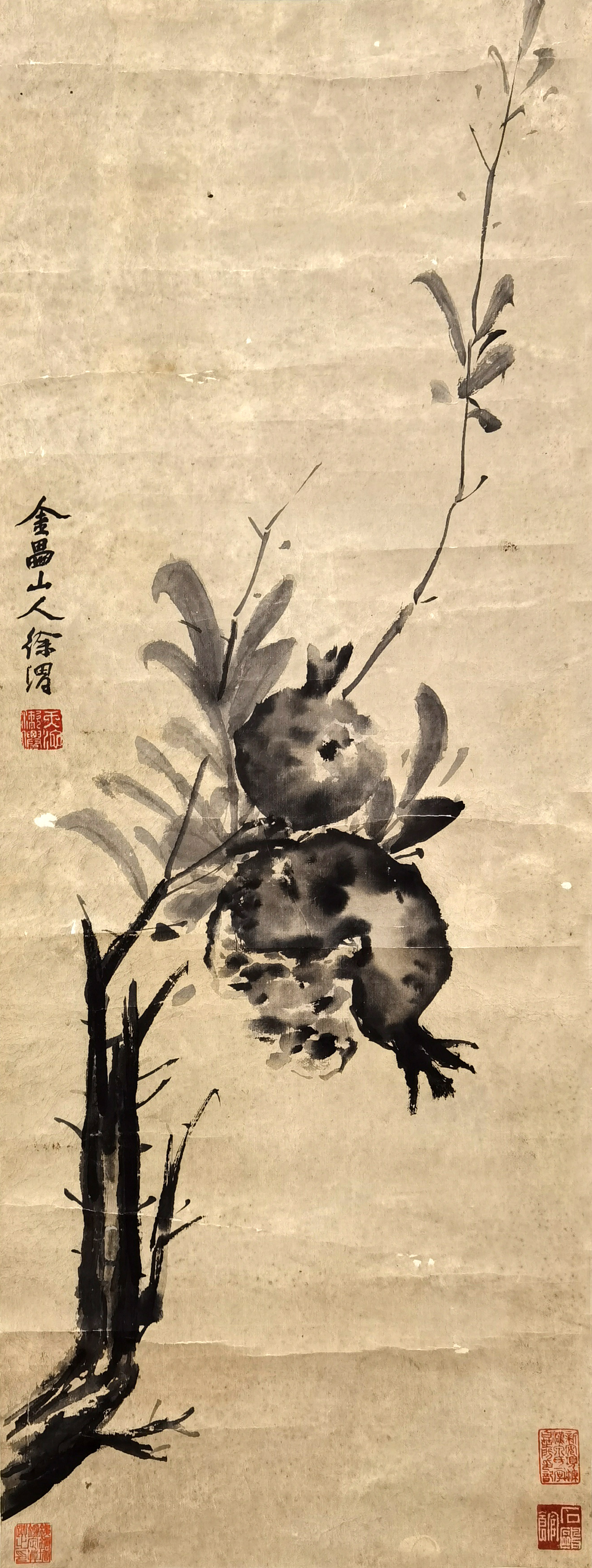 徐渭     石榴夏熟