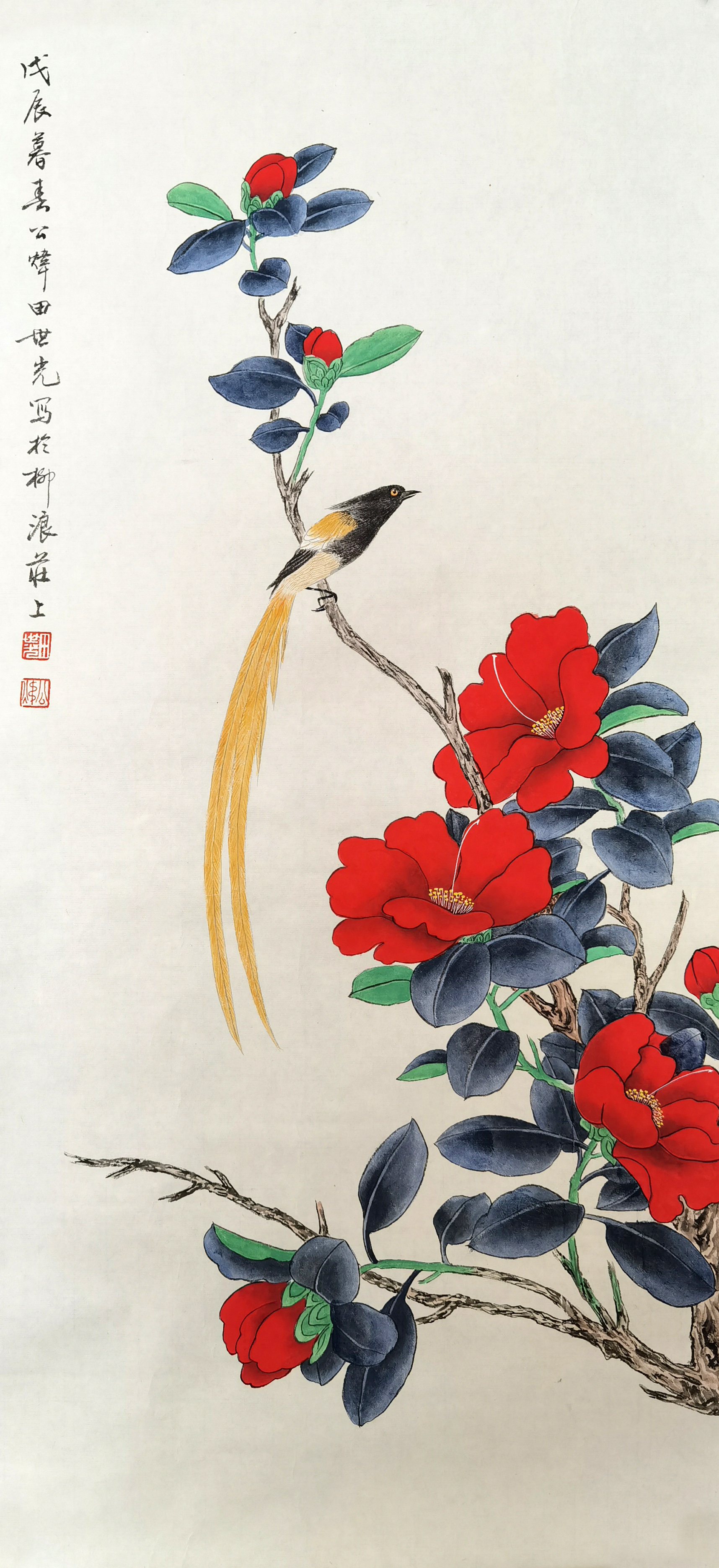 田世光     花鸟