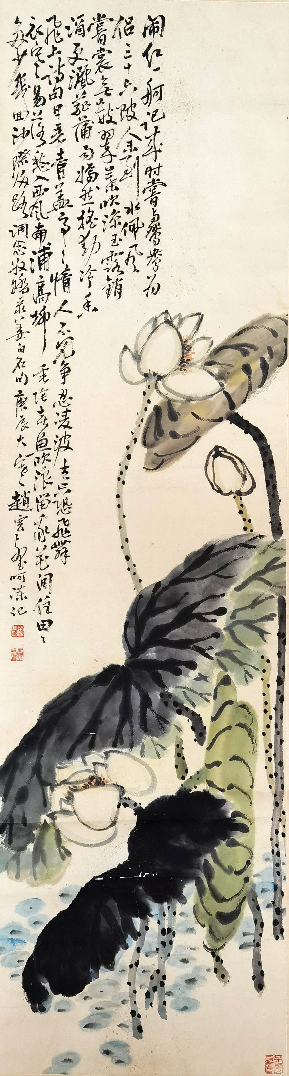 赵云壑     荷花