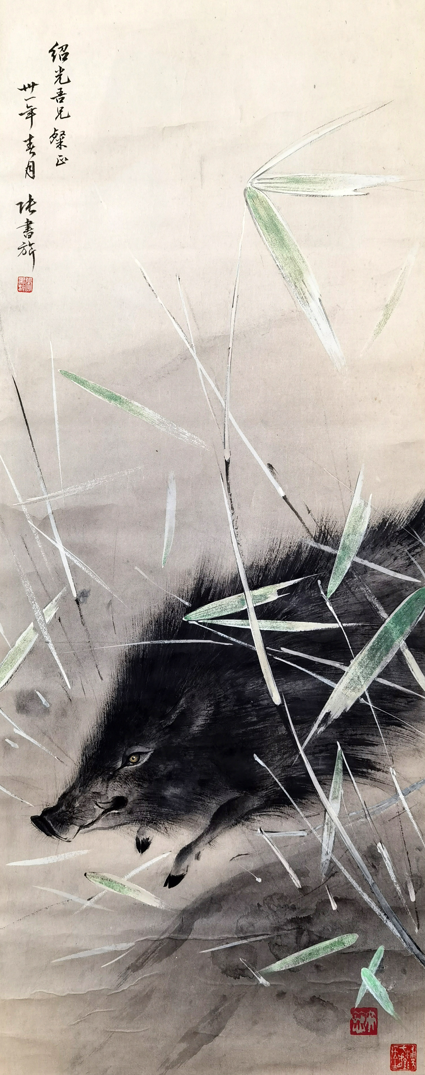 张书旗      野猪