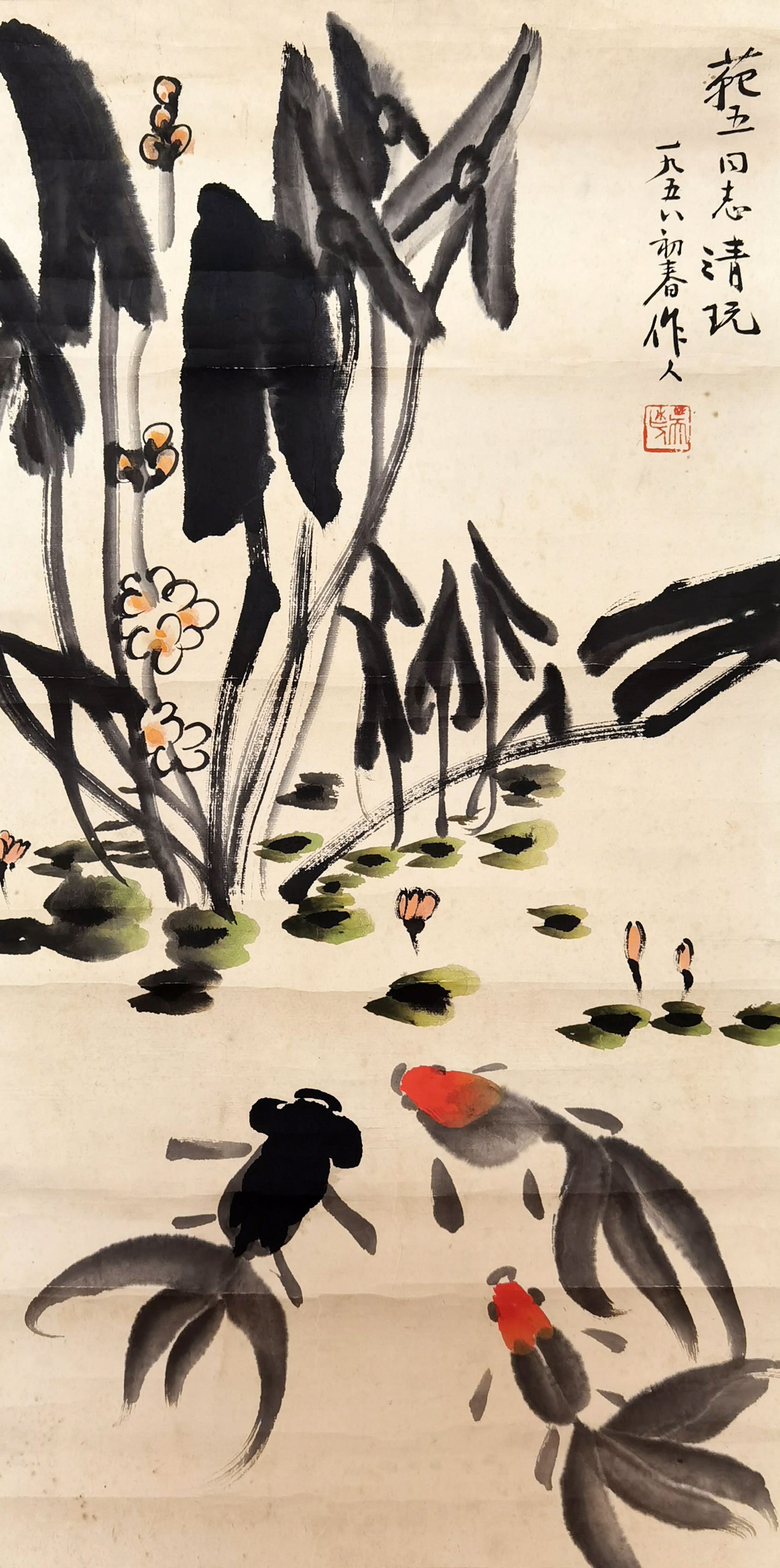 吴作人     金鱼