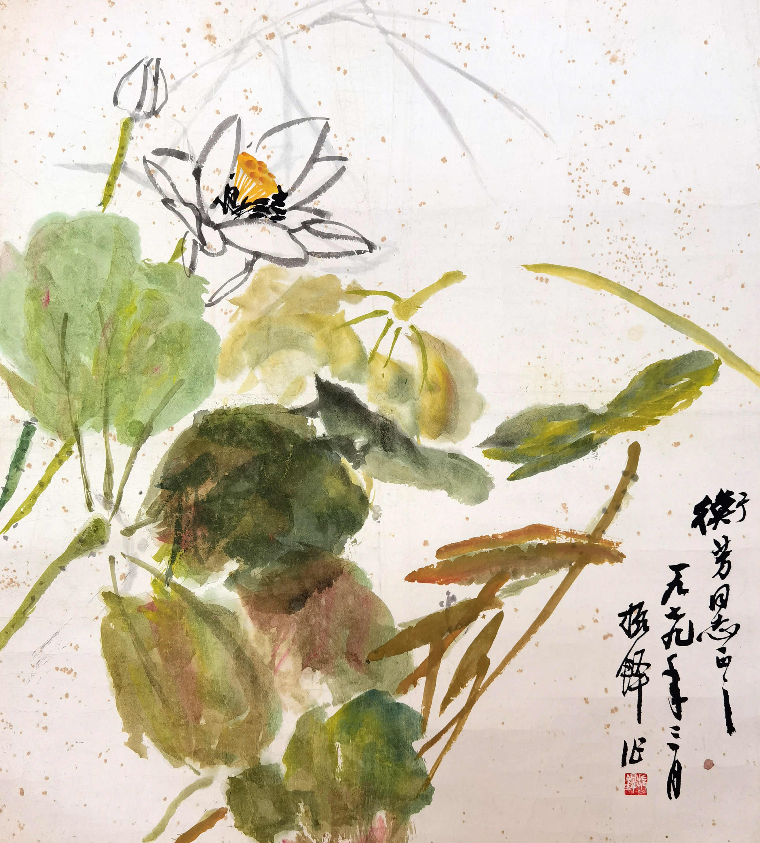 张振铎     荷花