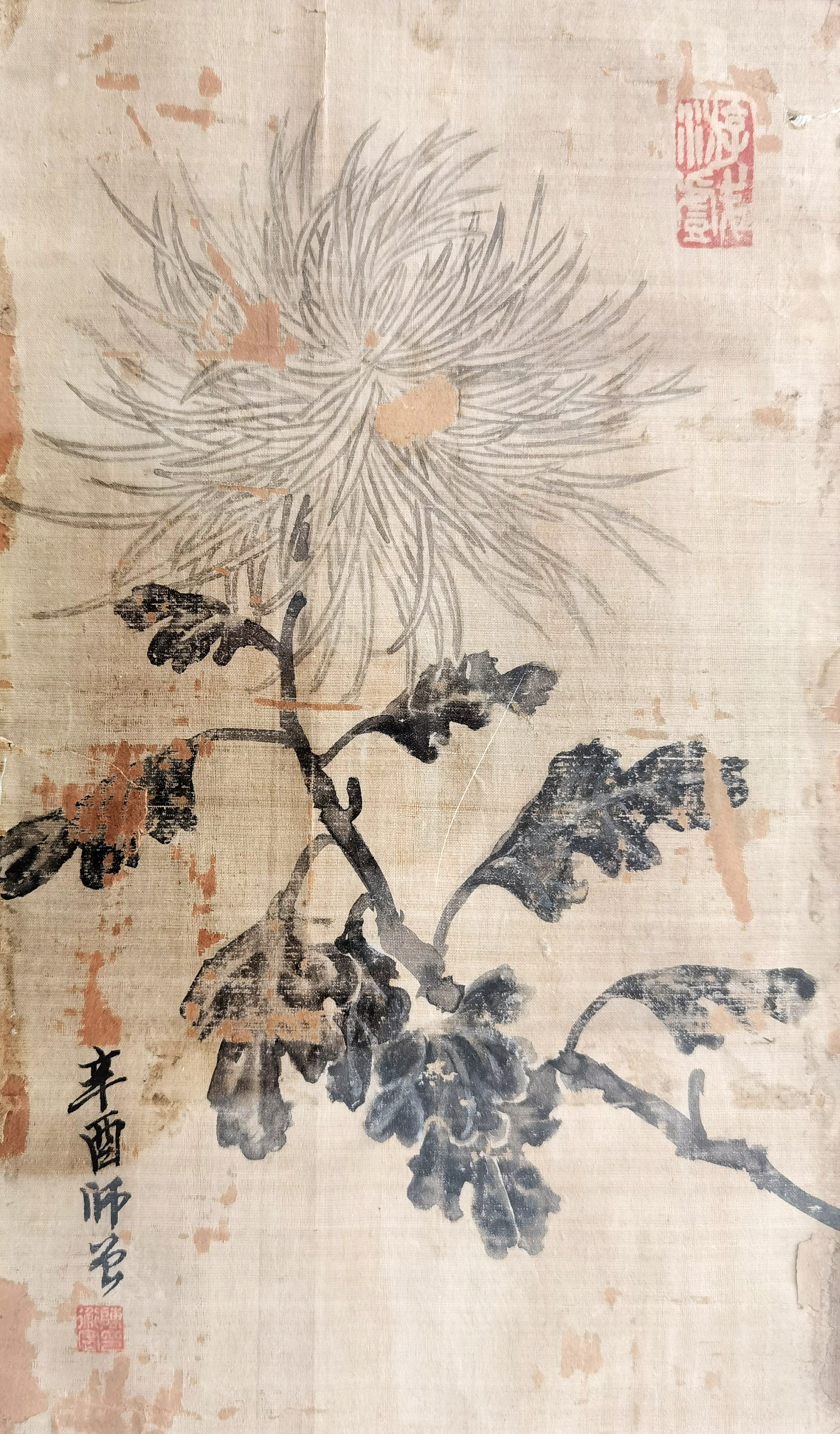 陈师曾     花卉