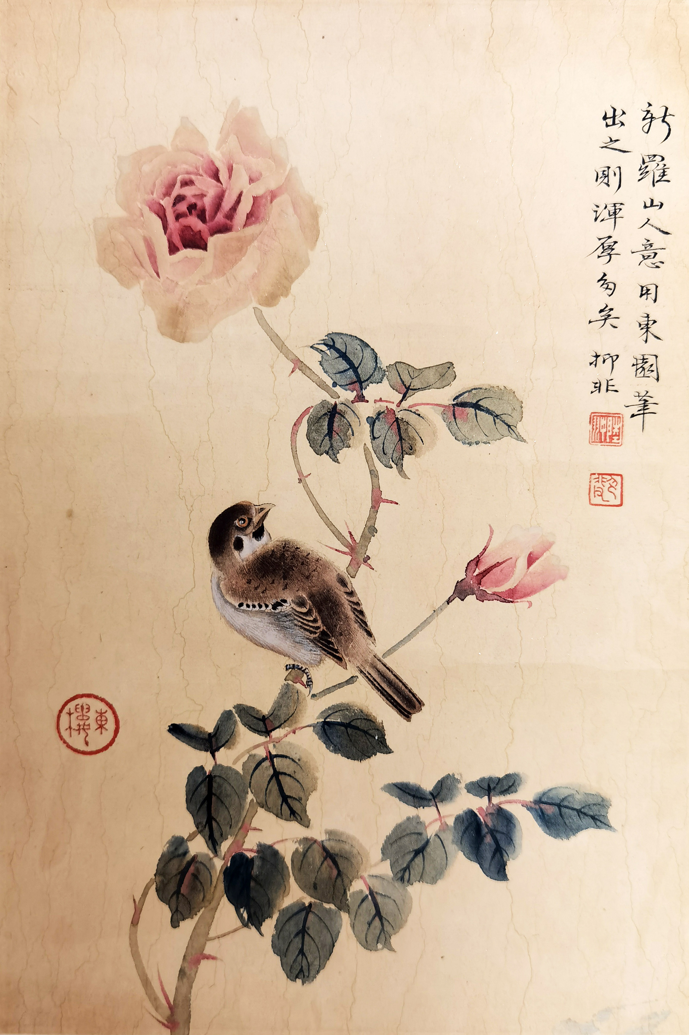 陆抑非     花鸟