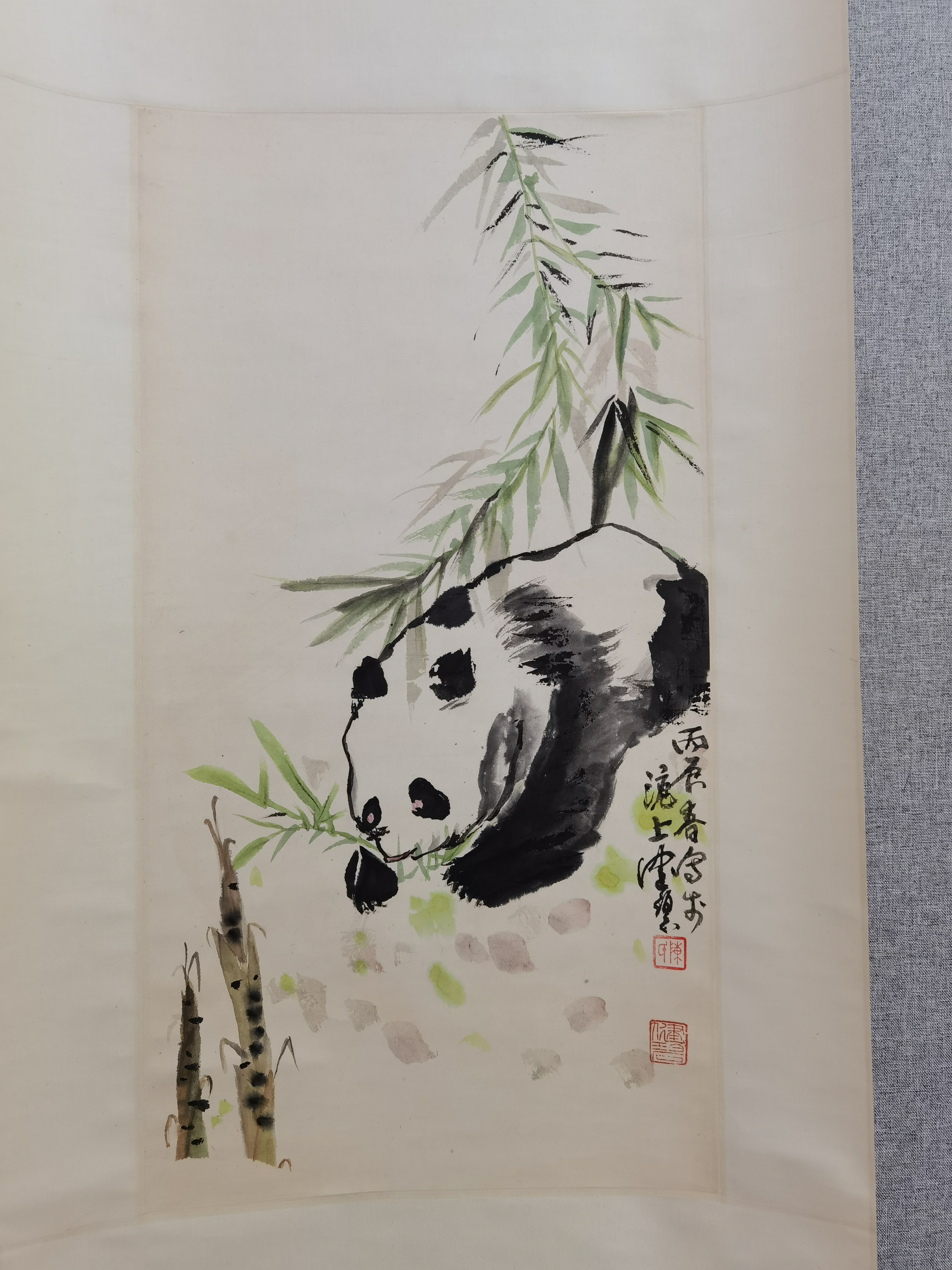 陈佩秋     熊猫