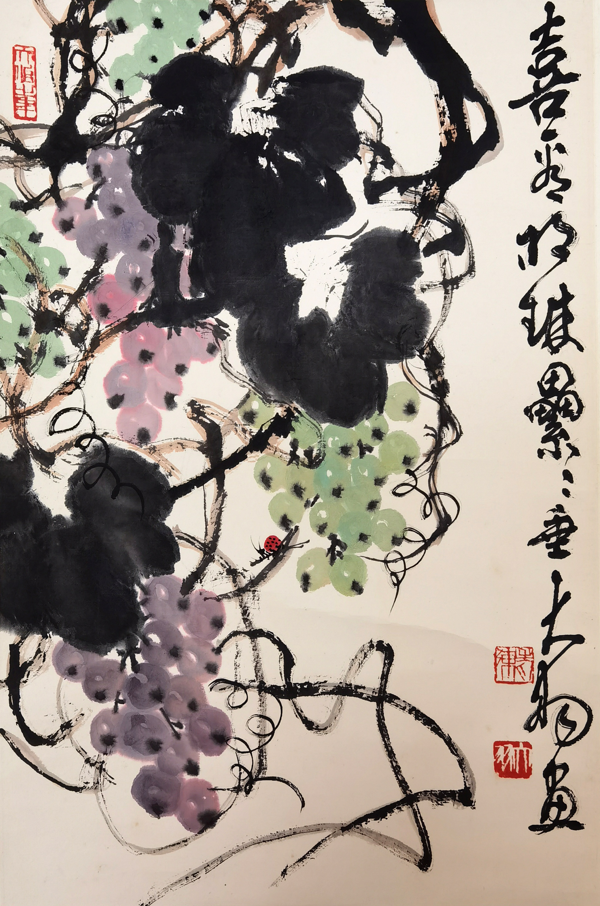 陈大羽     葡萄