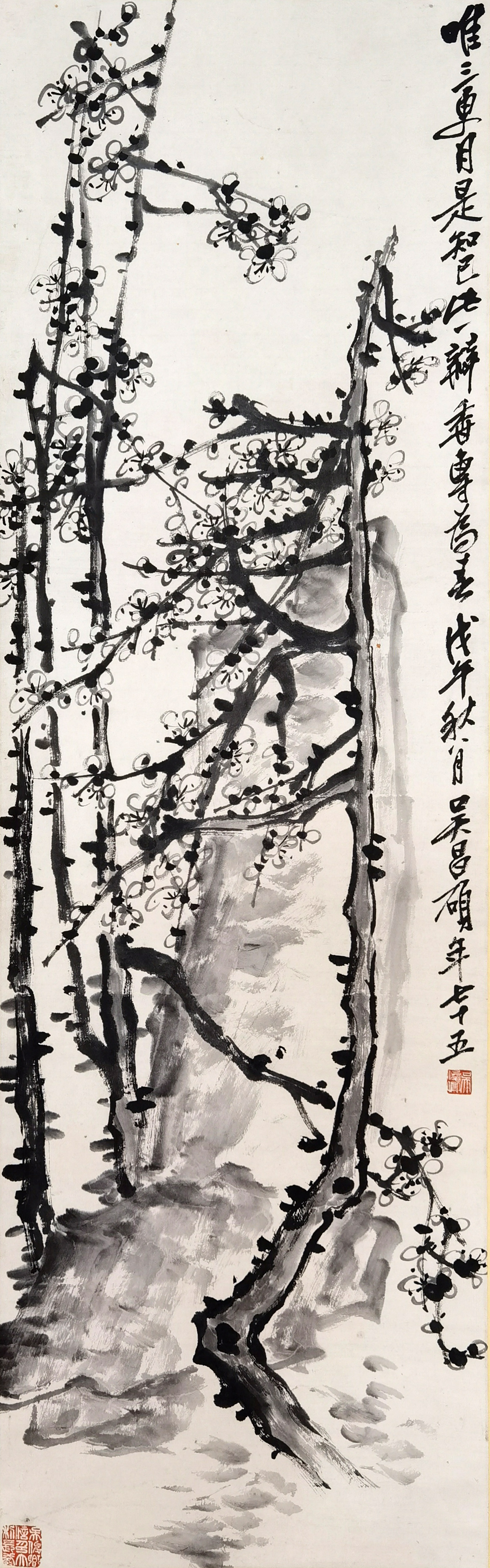 吴昌硕     墨梅