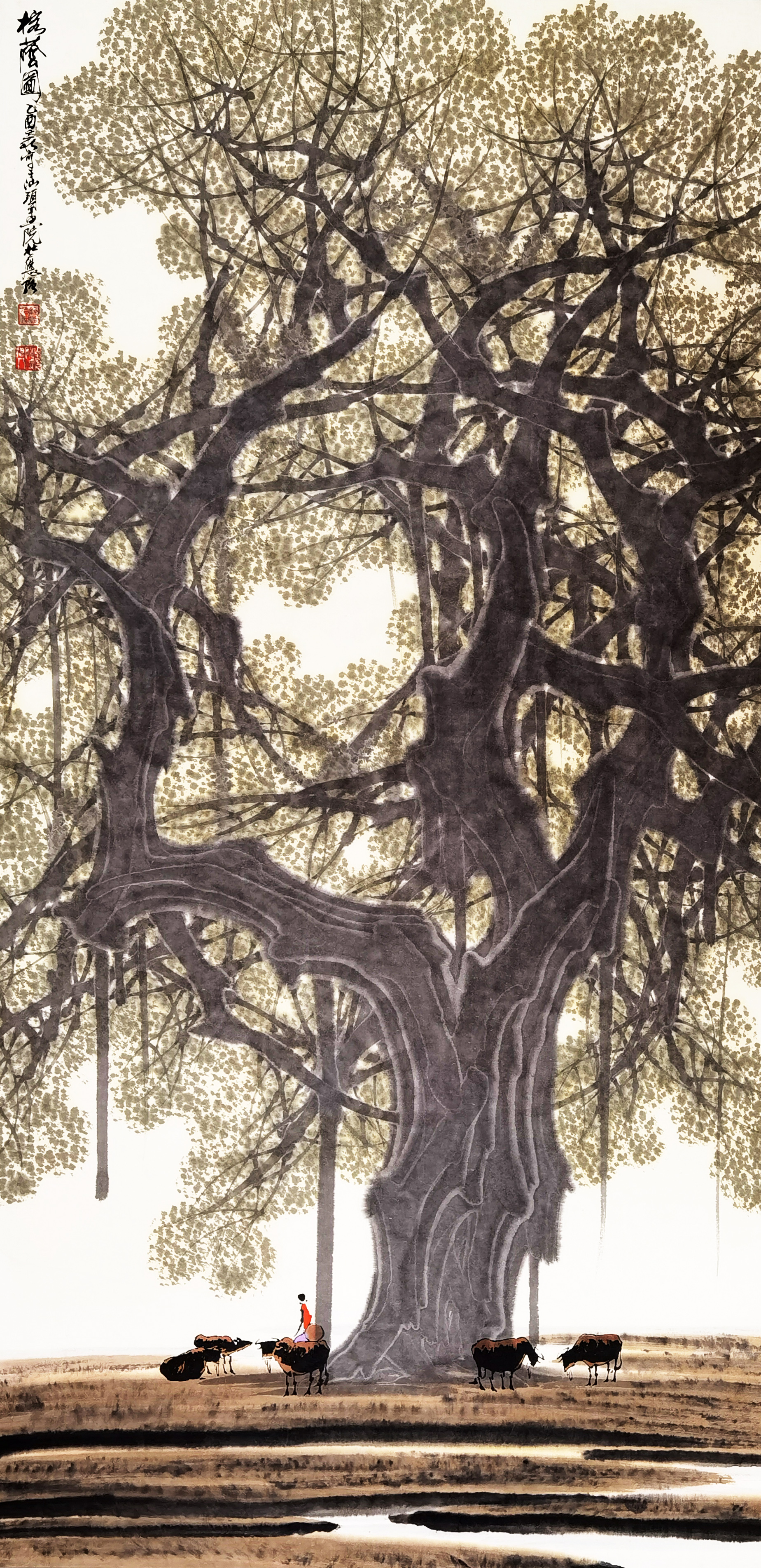 杜应强     榕树