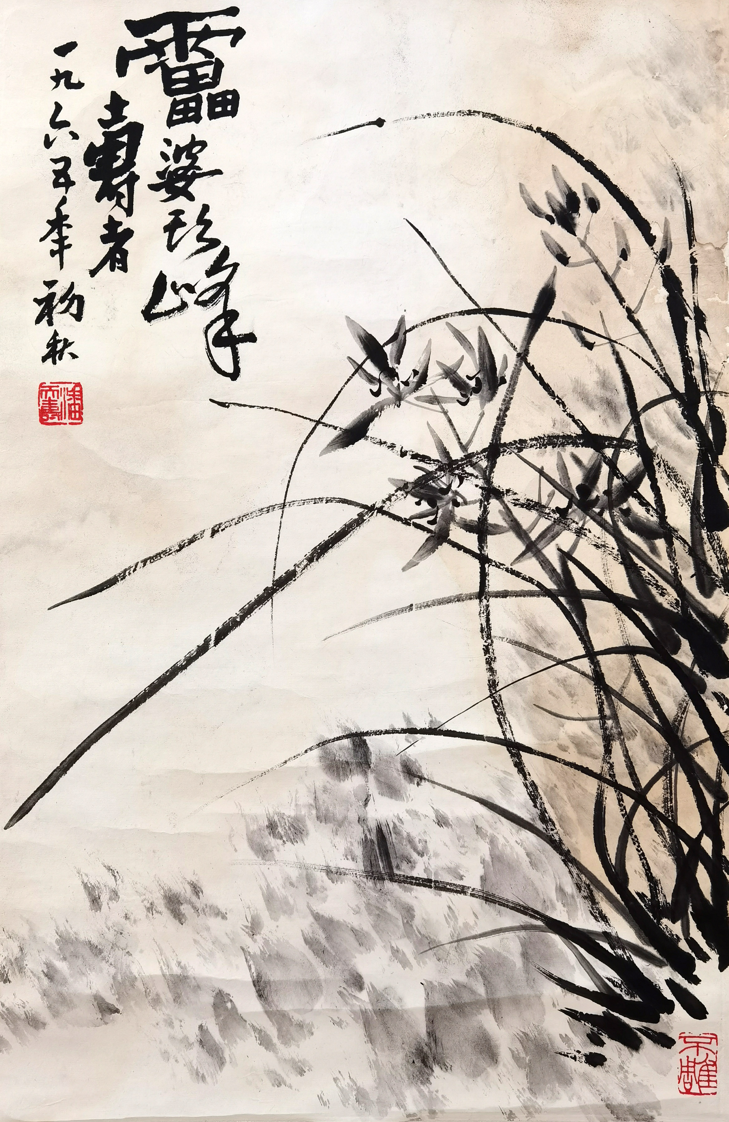 潘天寿     兰花