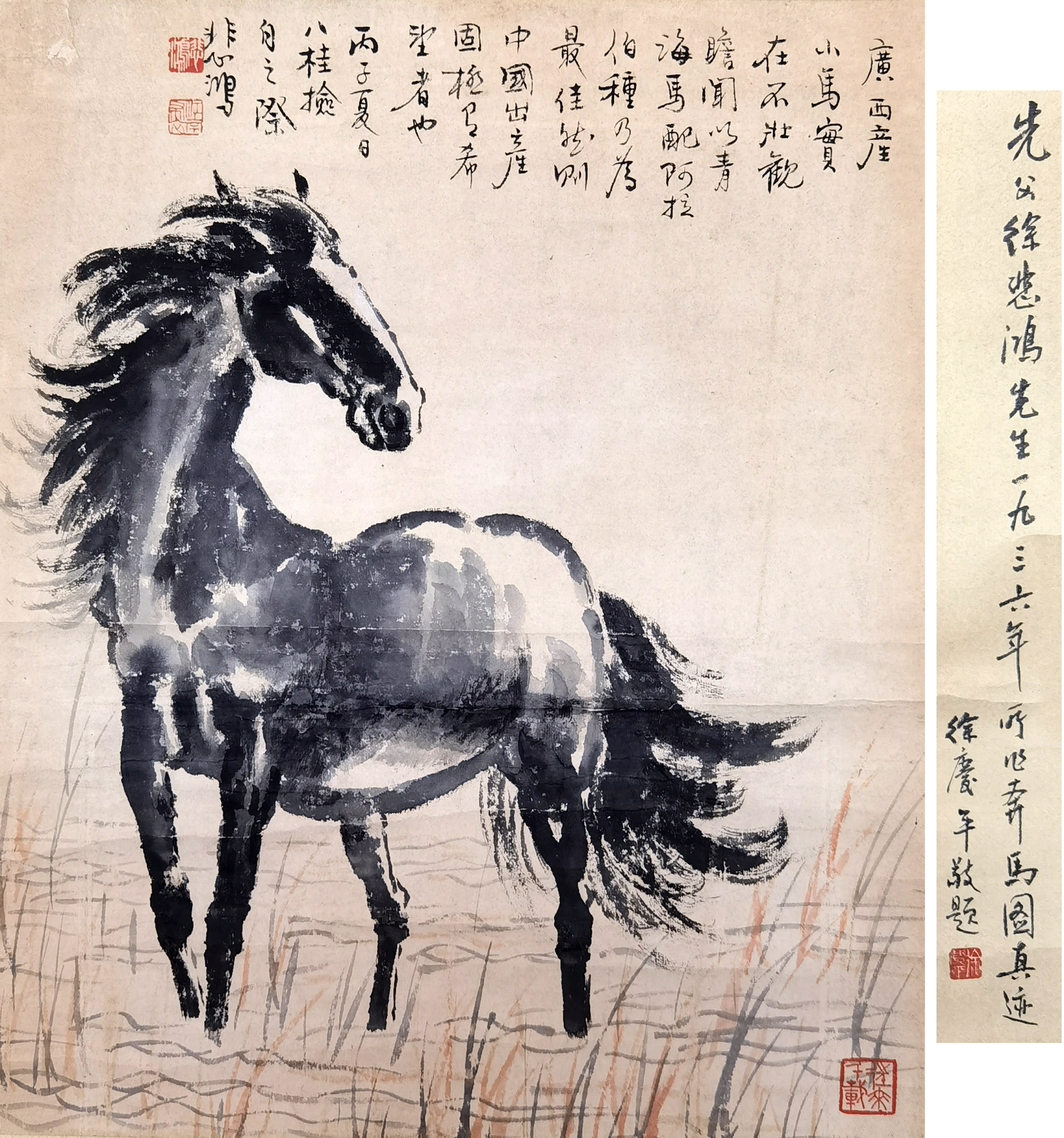 徐悲鸿     骏马图  注;之子徐庆平鉴定题跋