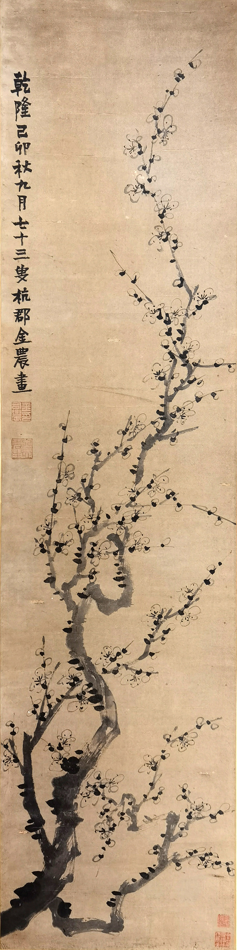 金农     梅花