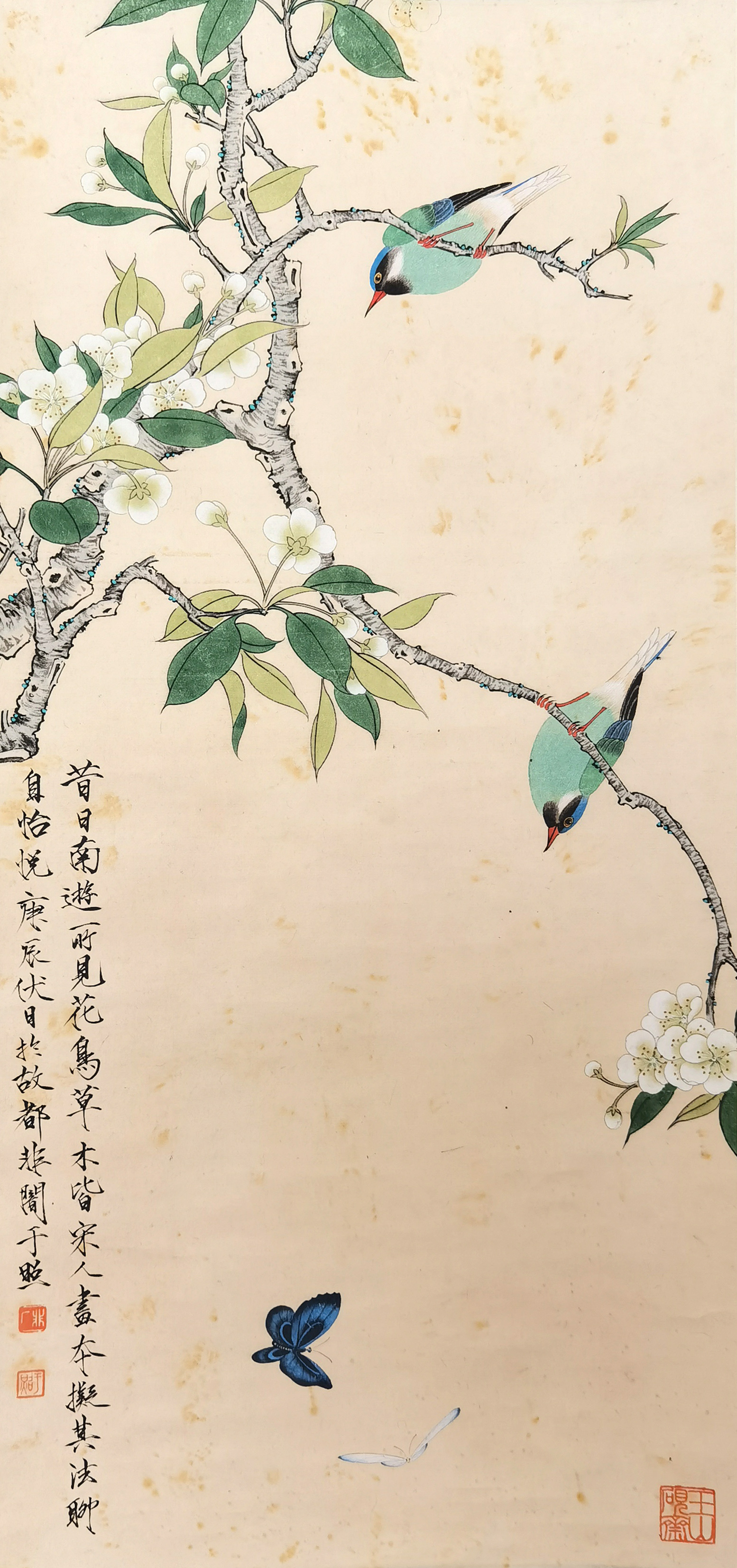 于非闇      花鸟