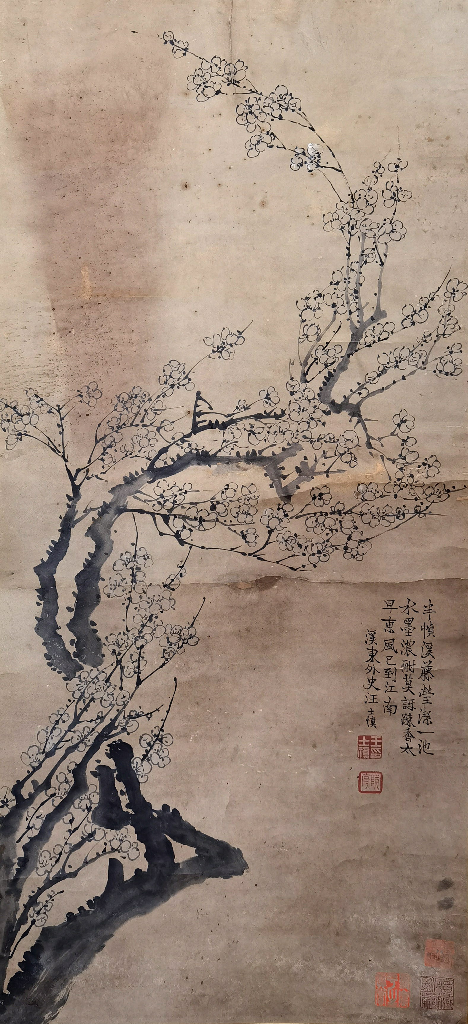 汪士慎     梅花
