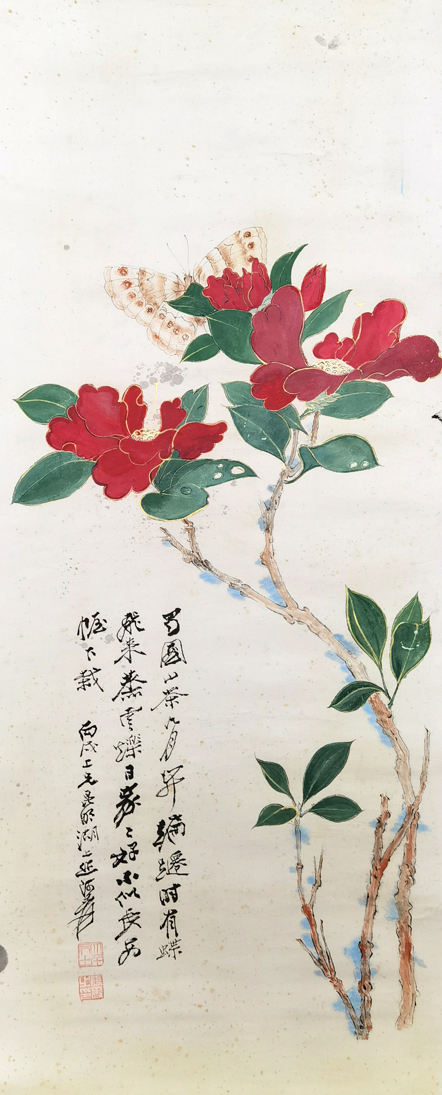 张大千     茶花图