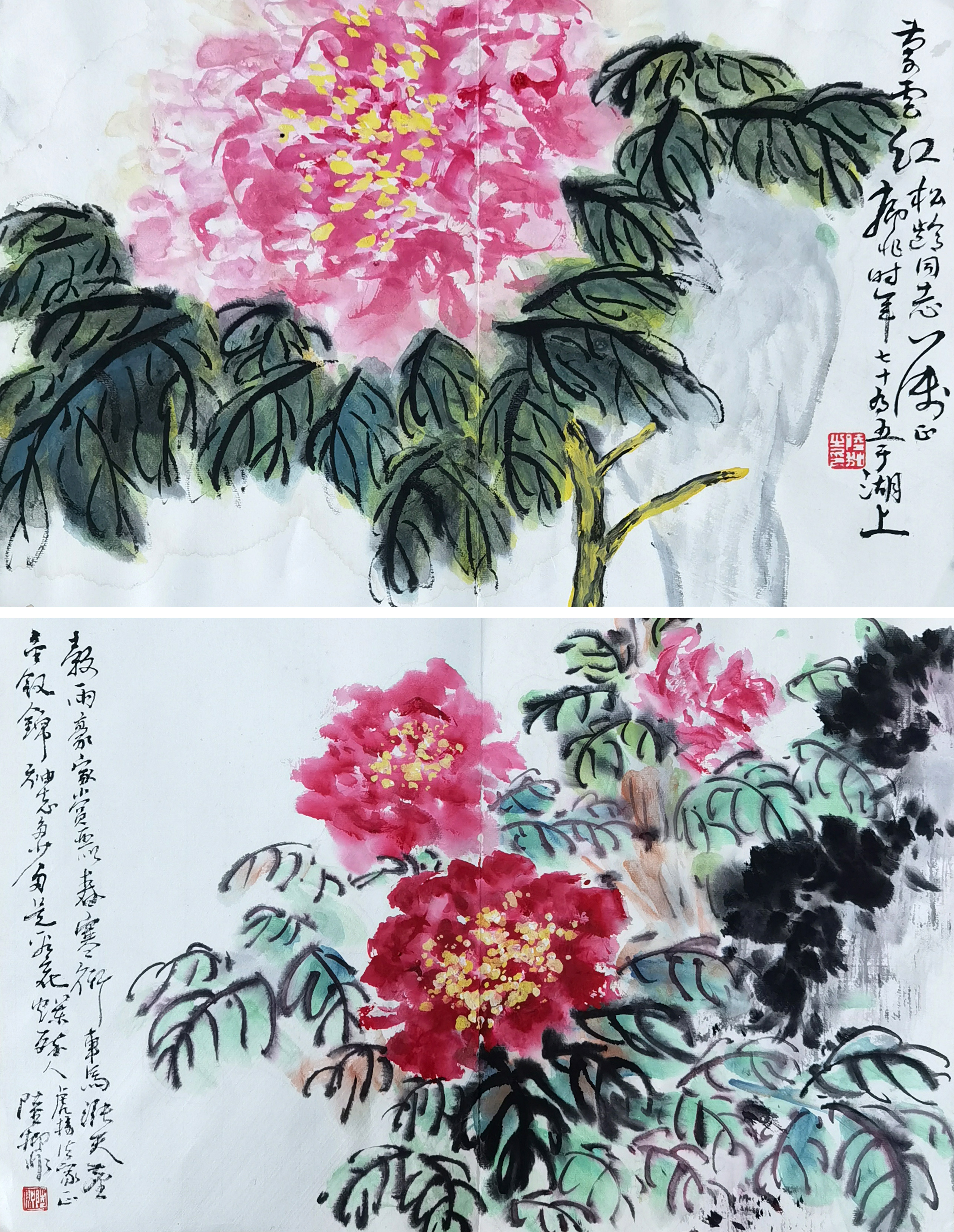 陆抑非     花卉