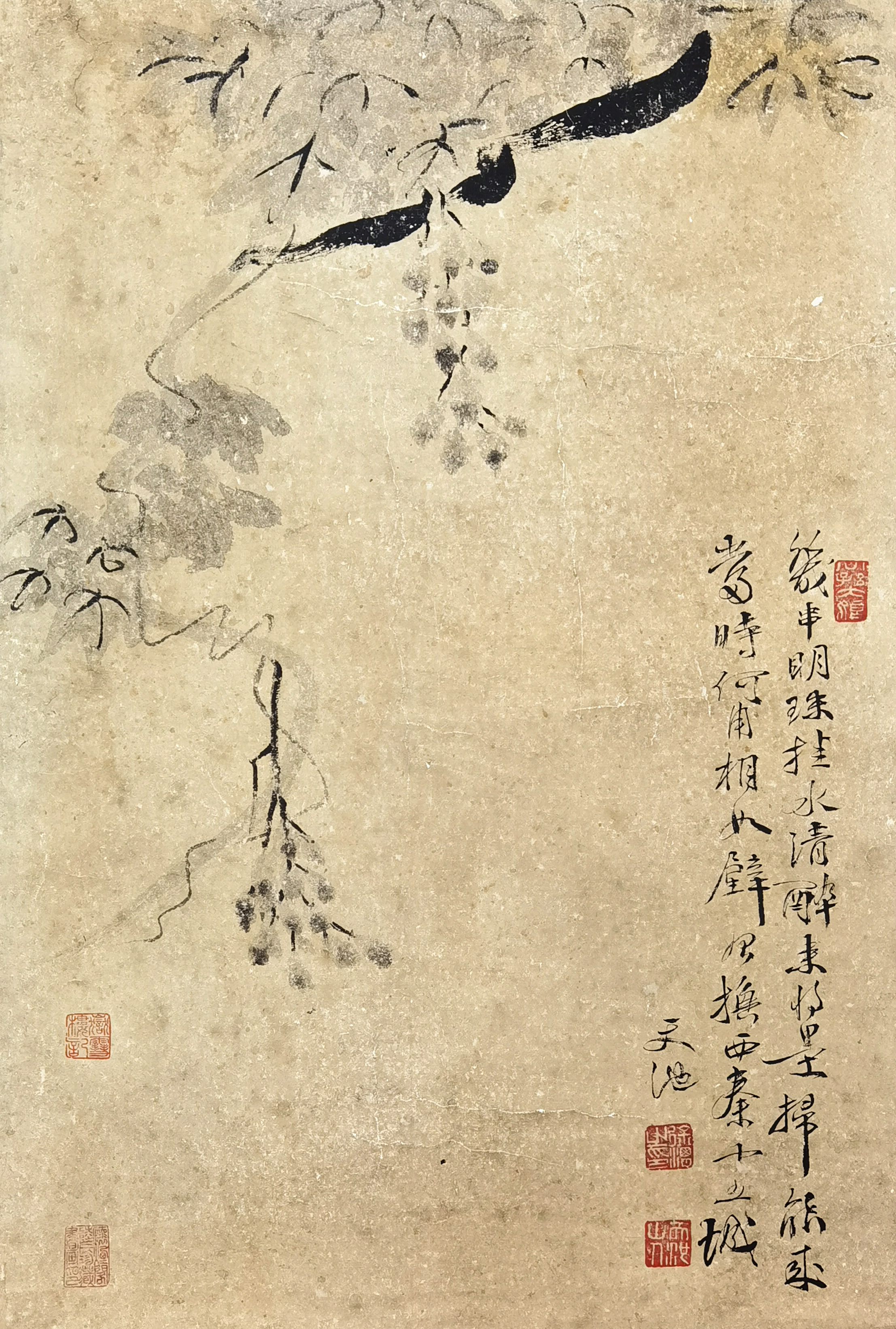 徐渭     墨葡萄
