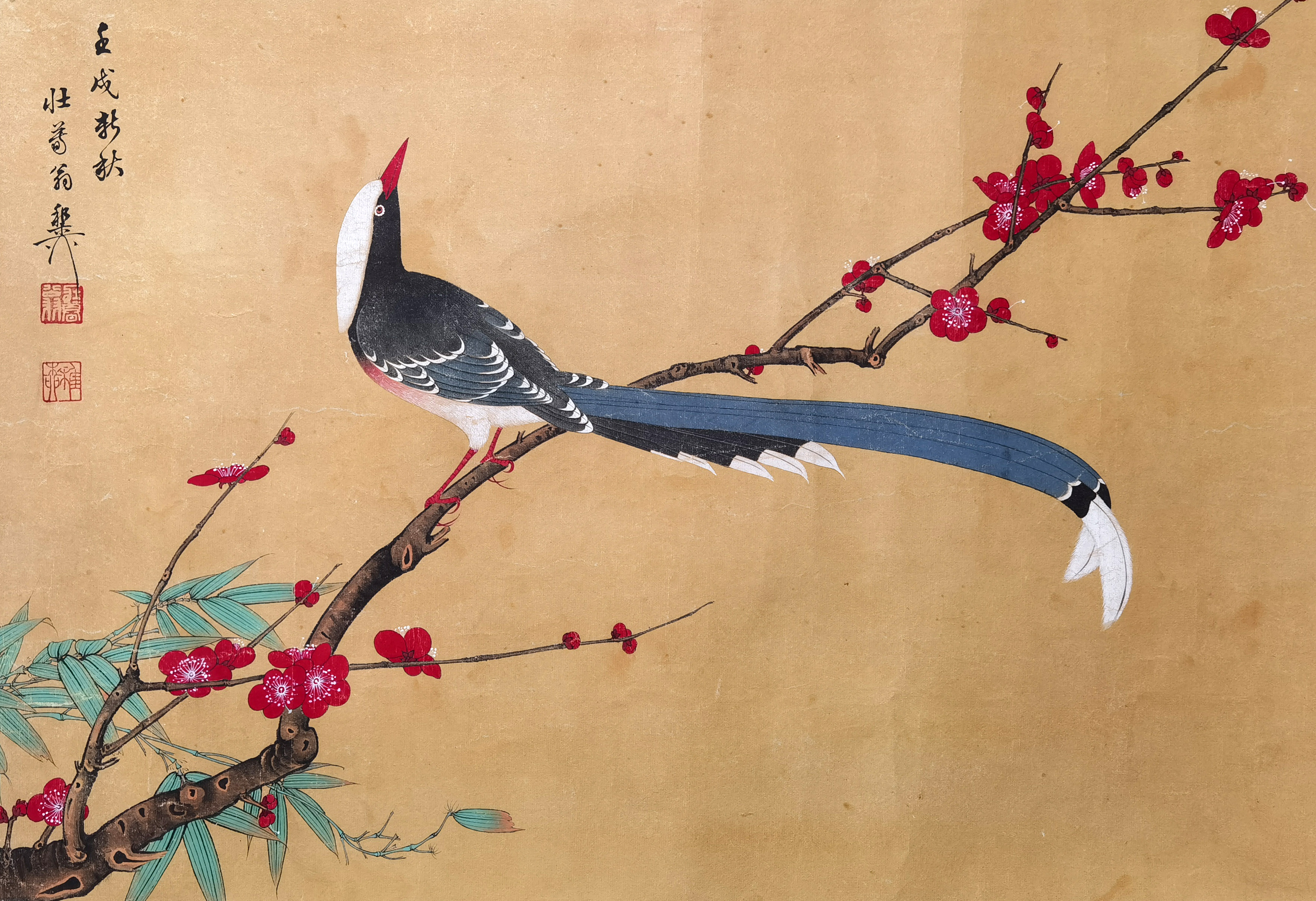 谢稚柳     花鸟