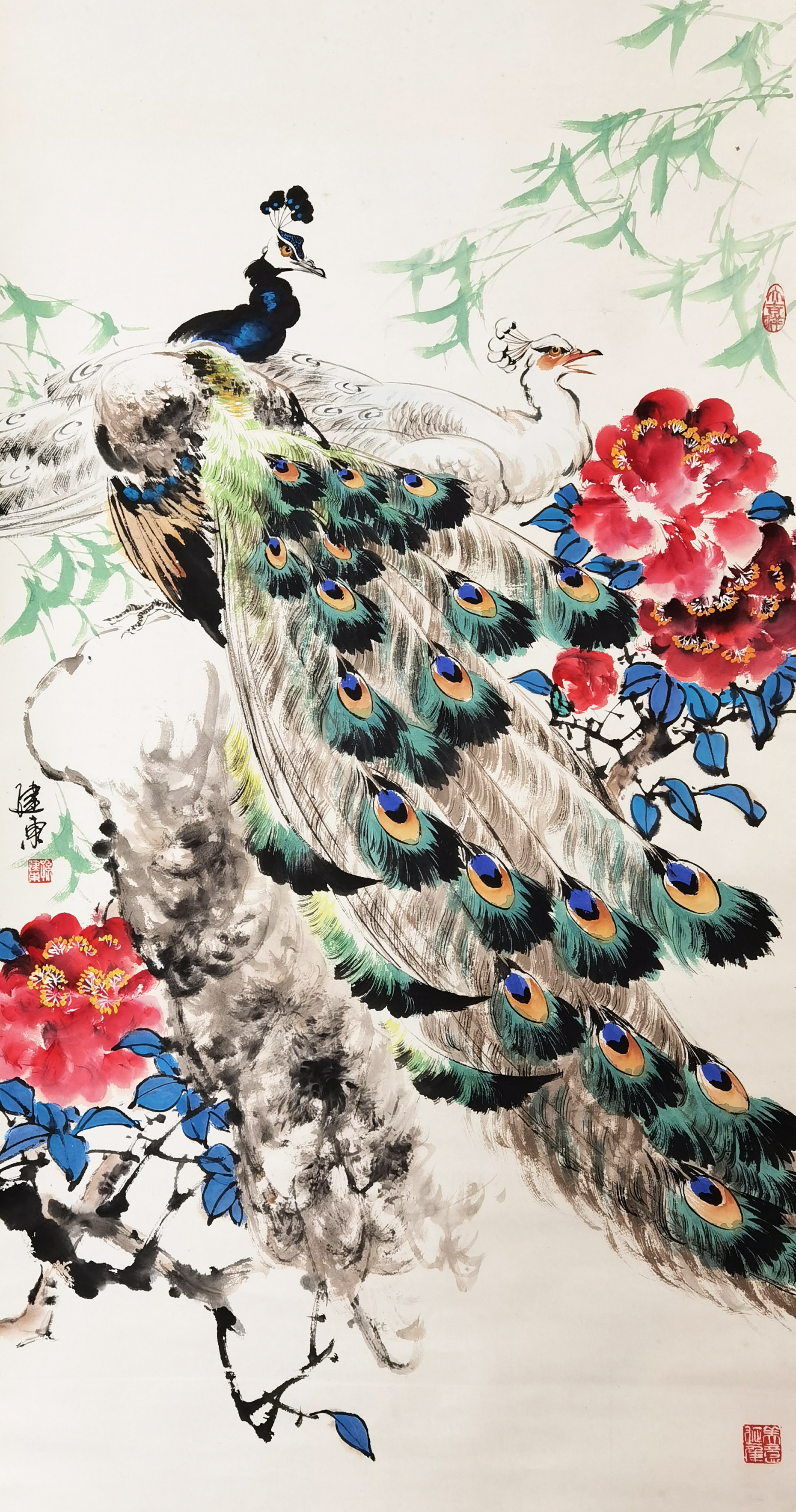 孙建东     孔雀图