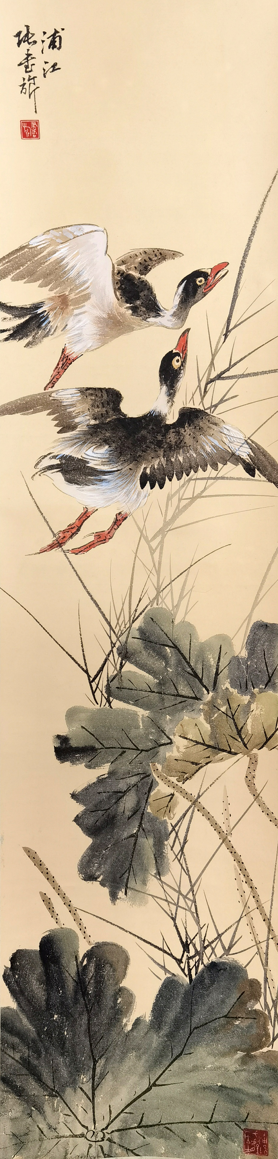 张书旗      荷塘双鸭