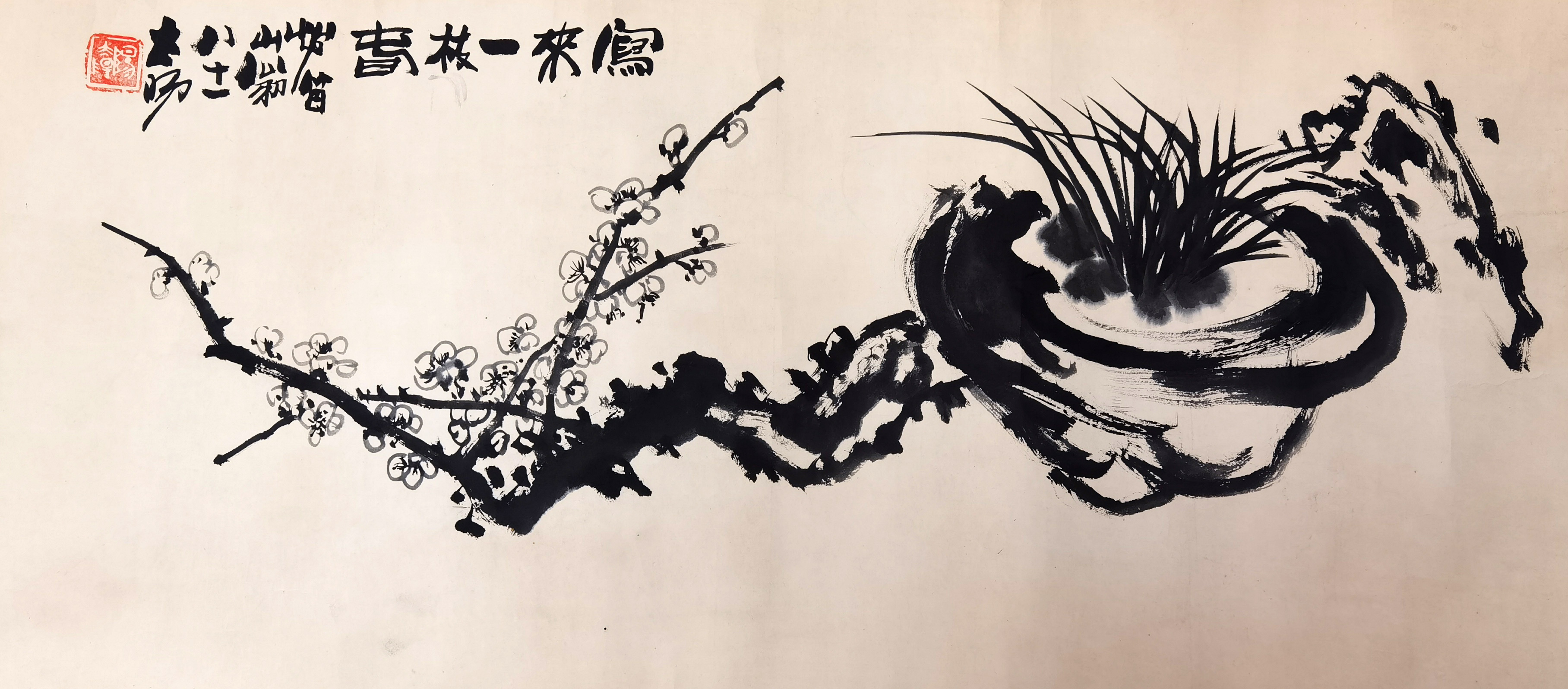 阳太阳     花卉