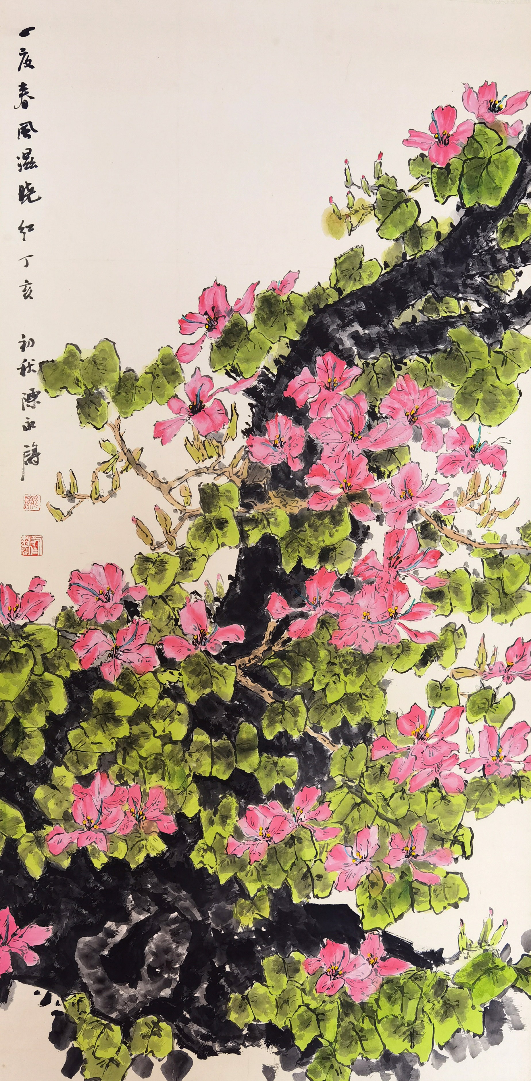 陈永锵     花卉