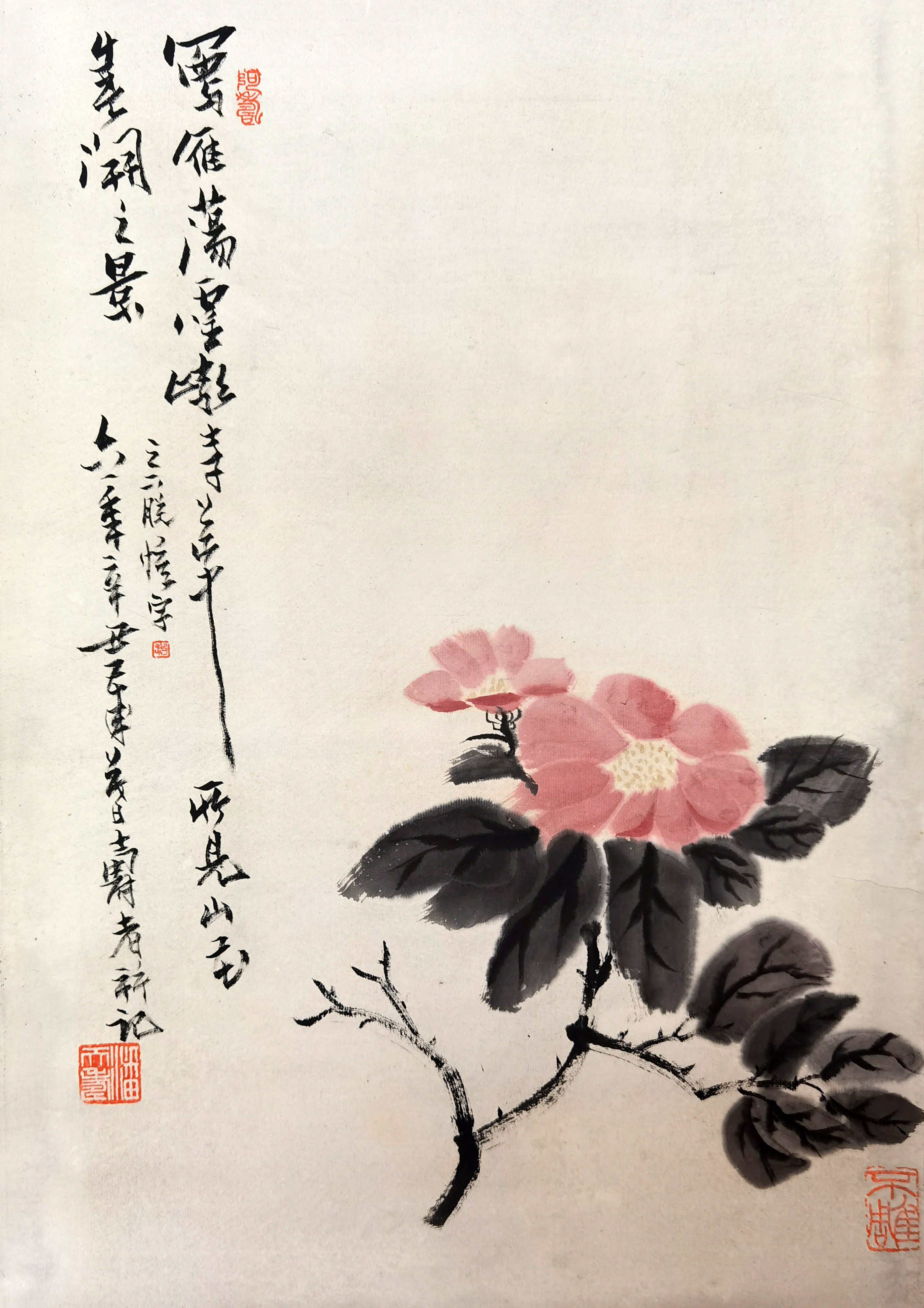 潘天寿     雁荡山茶