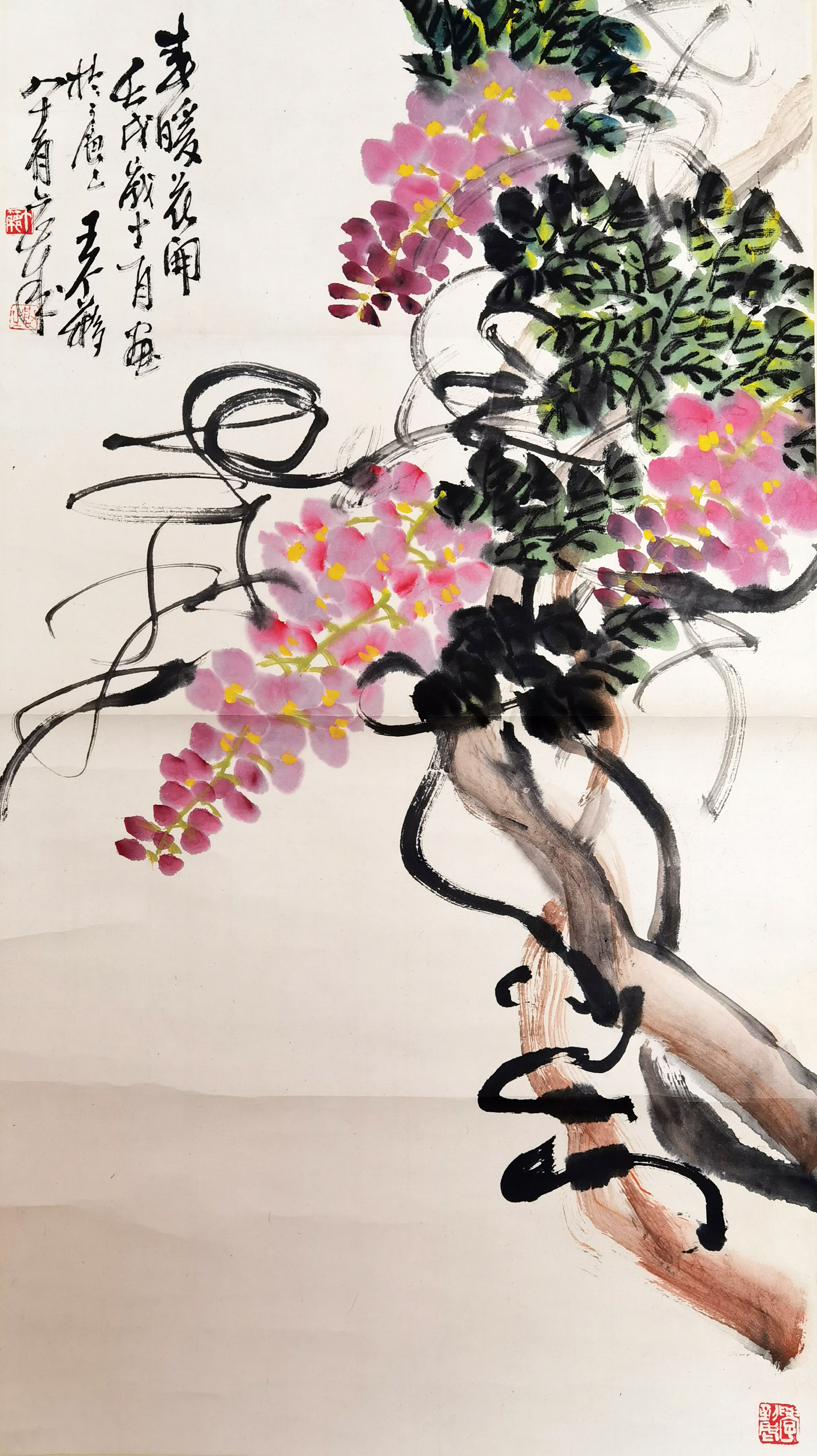王个移　     紫藤